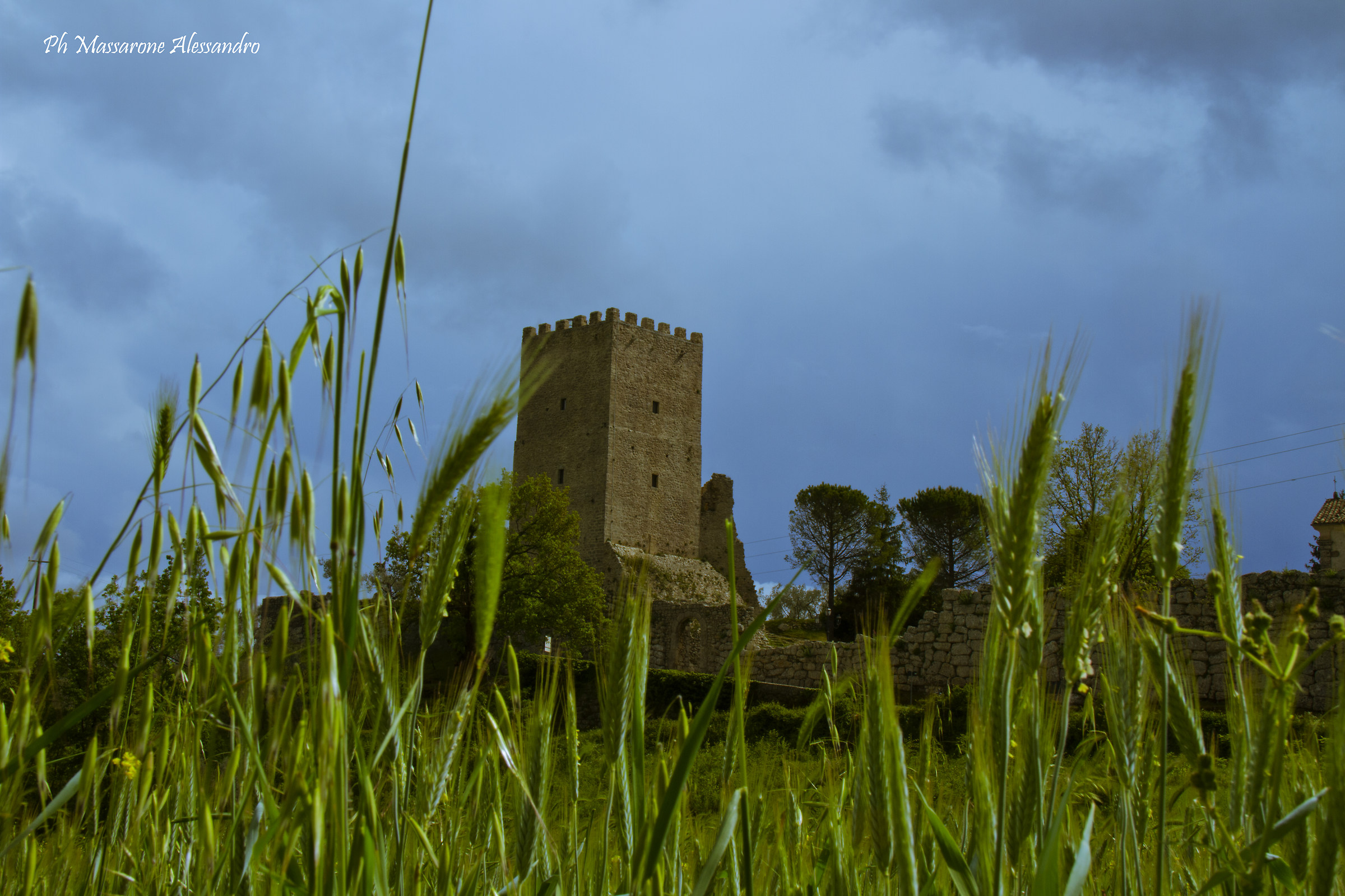 Tower of Civitavecchia...