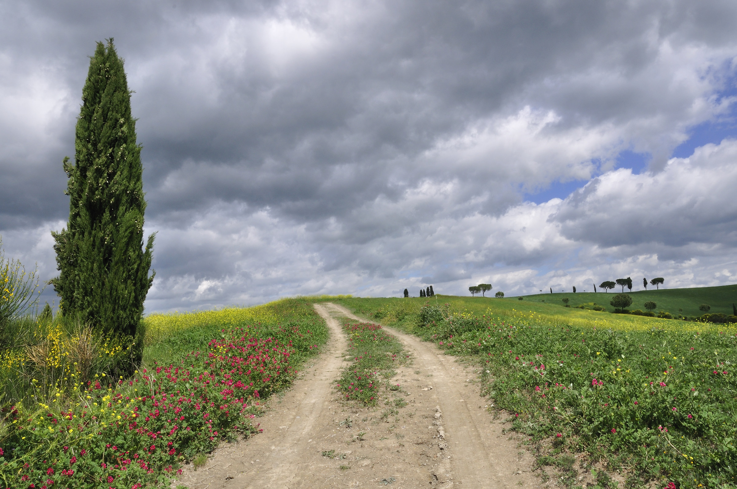 walking in Val d'Orcia...