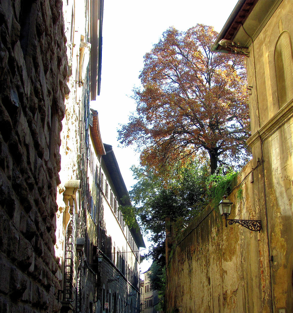 Scorcio fiorentino...