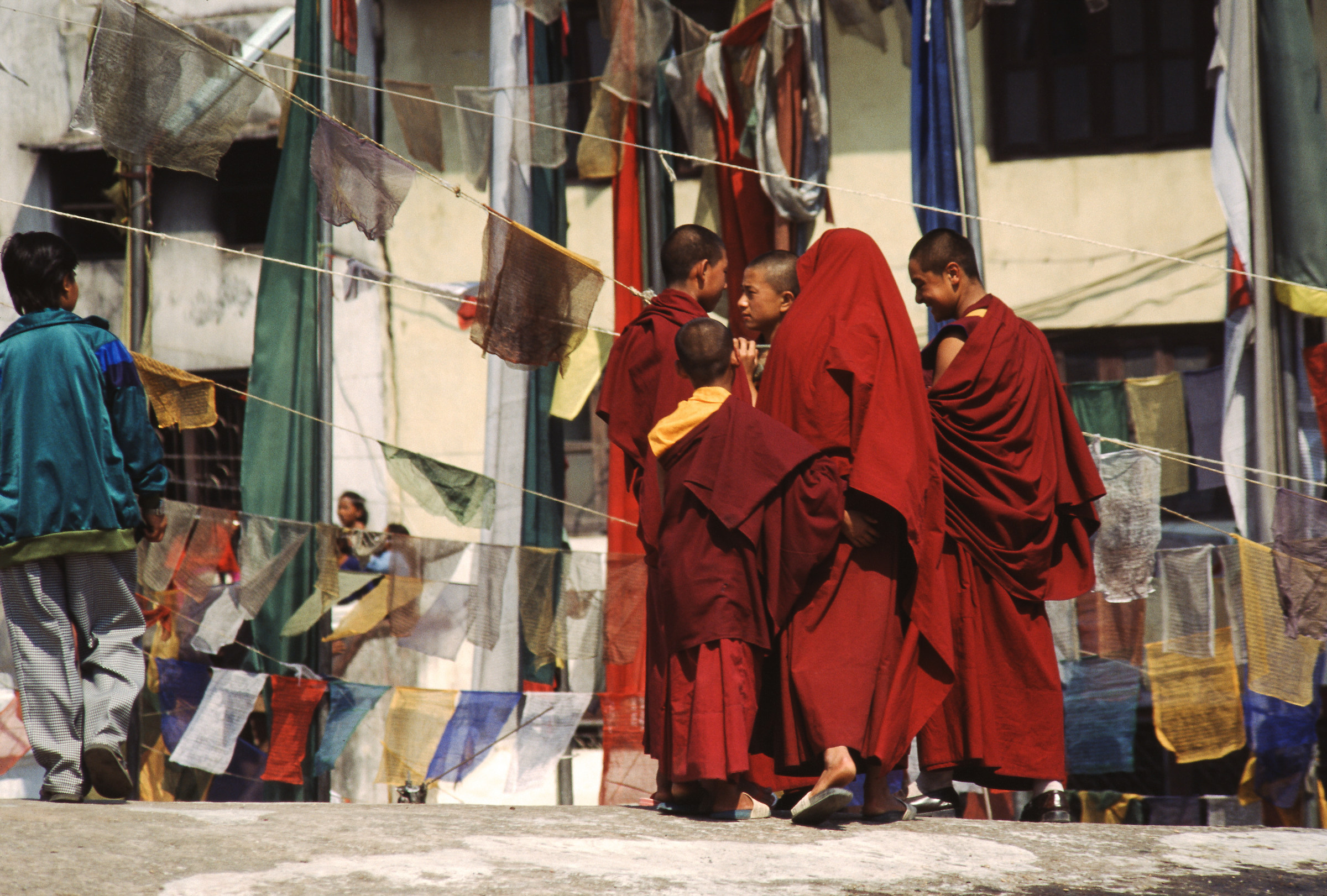 giovani monaci buddisti (katmandu)...