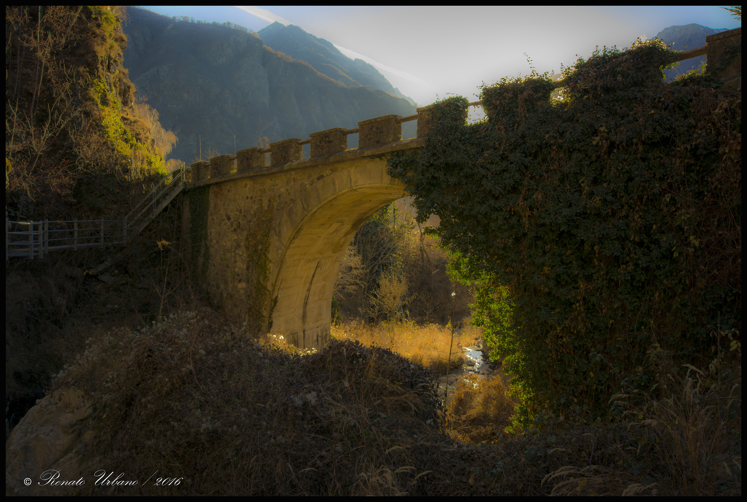 The bridge and the ivy...