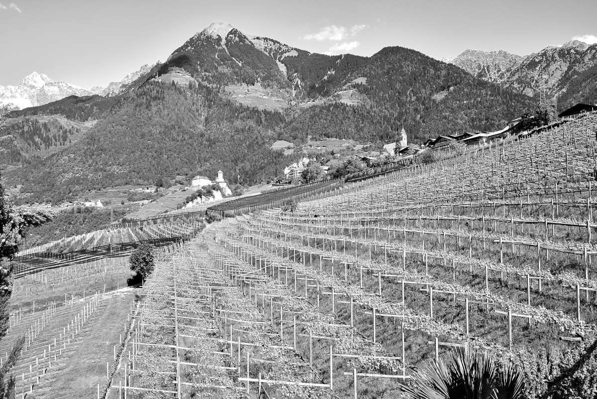 Terraces Tyrol...
