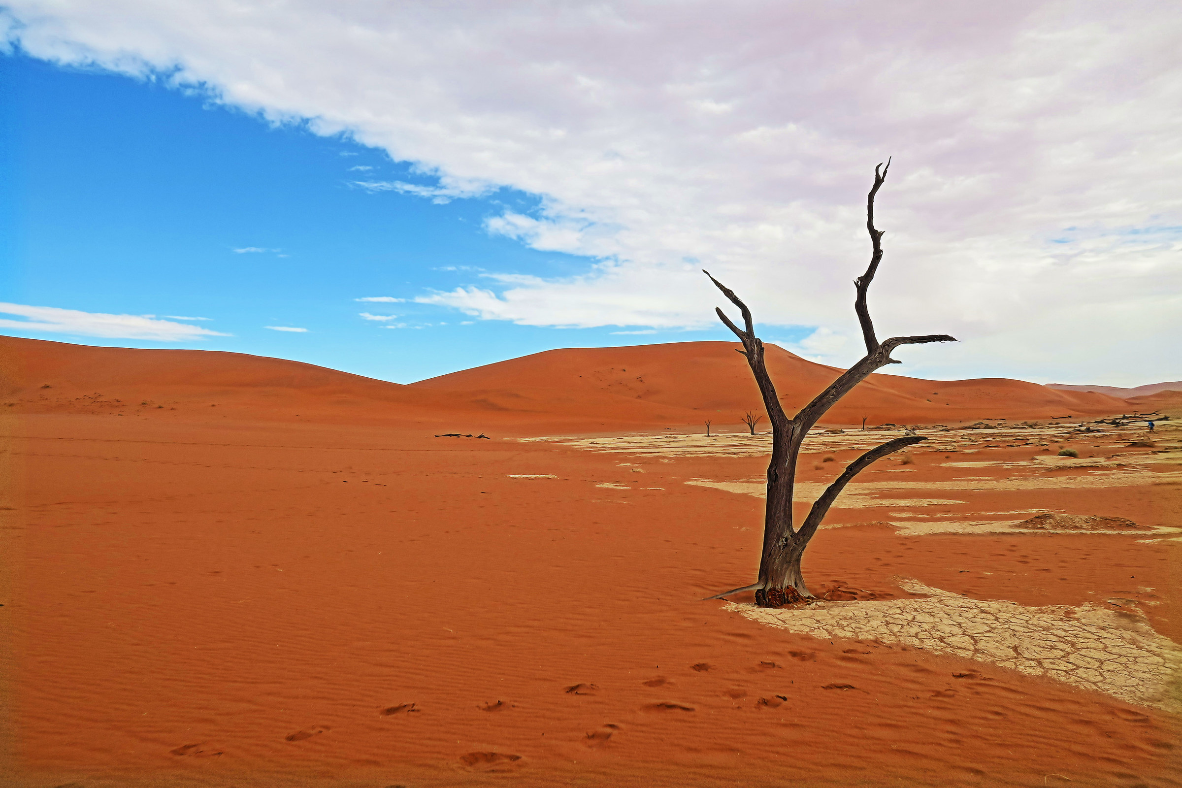 dune in the Namib...