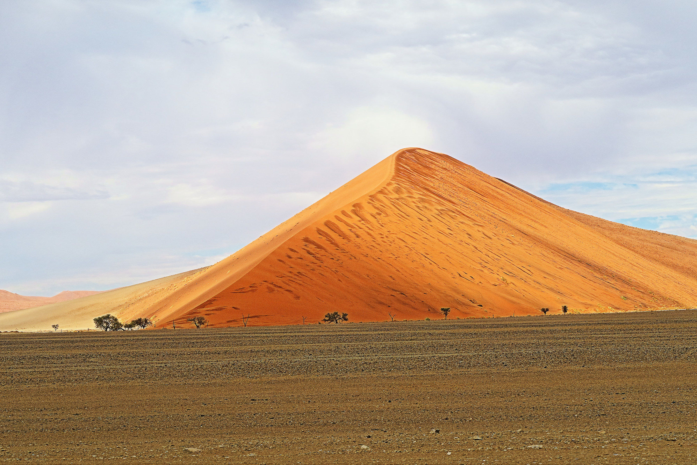 duna nel deserto del namib...