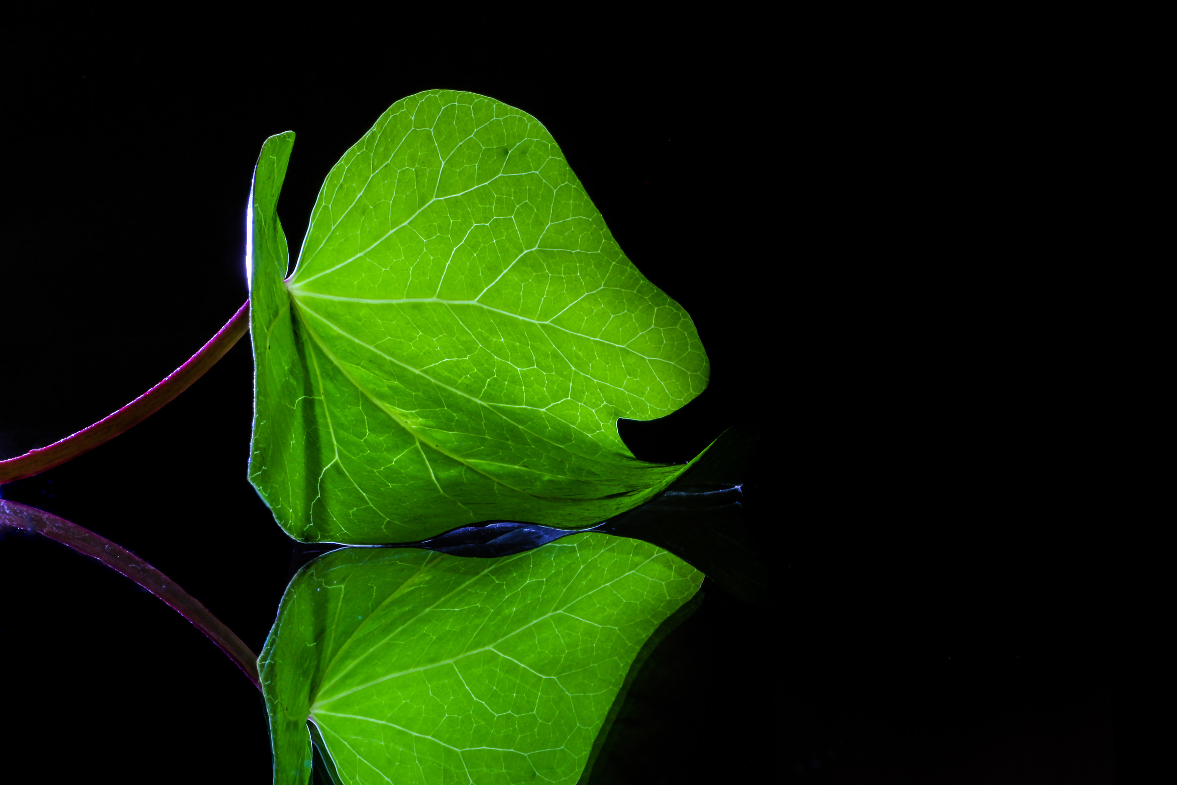 Glass leaf...