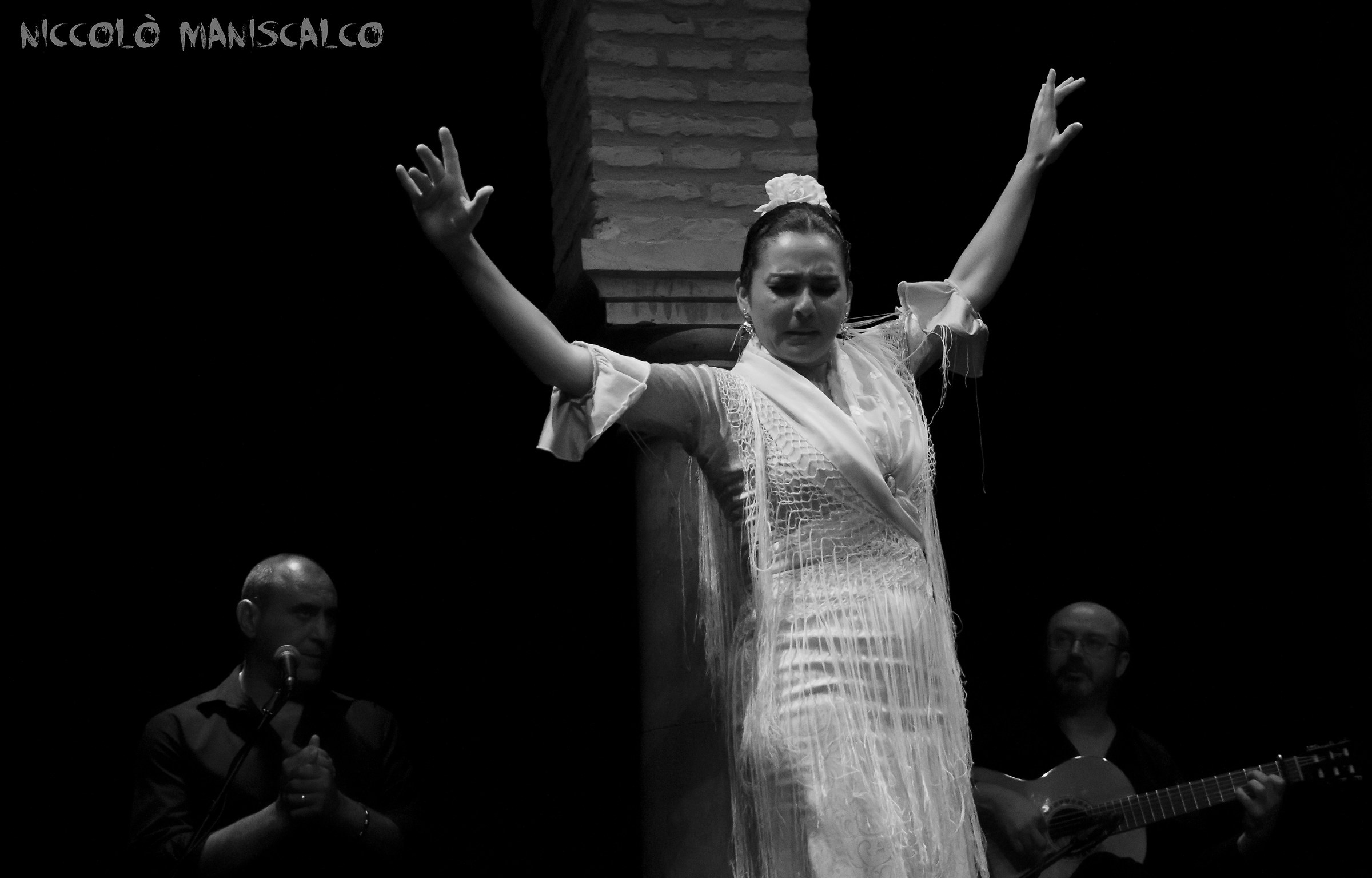 Flamenco Andalusia...