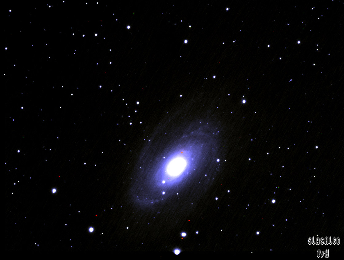 Galassia M81...