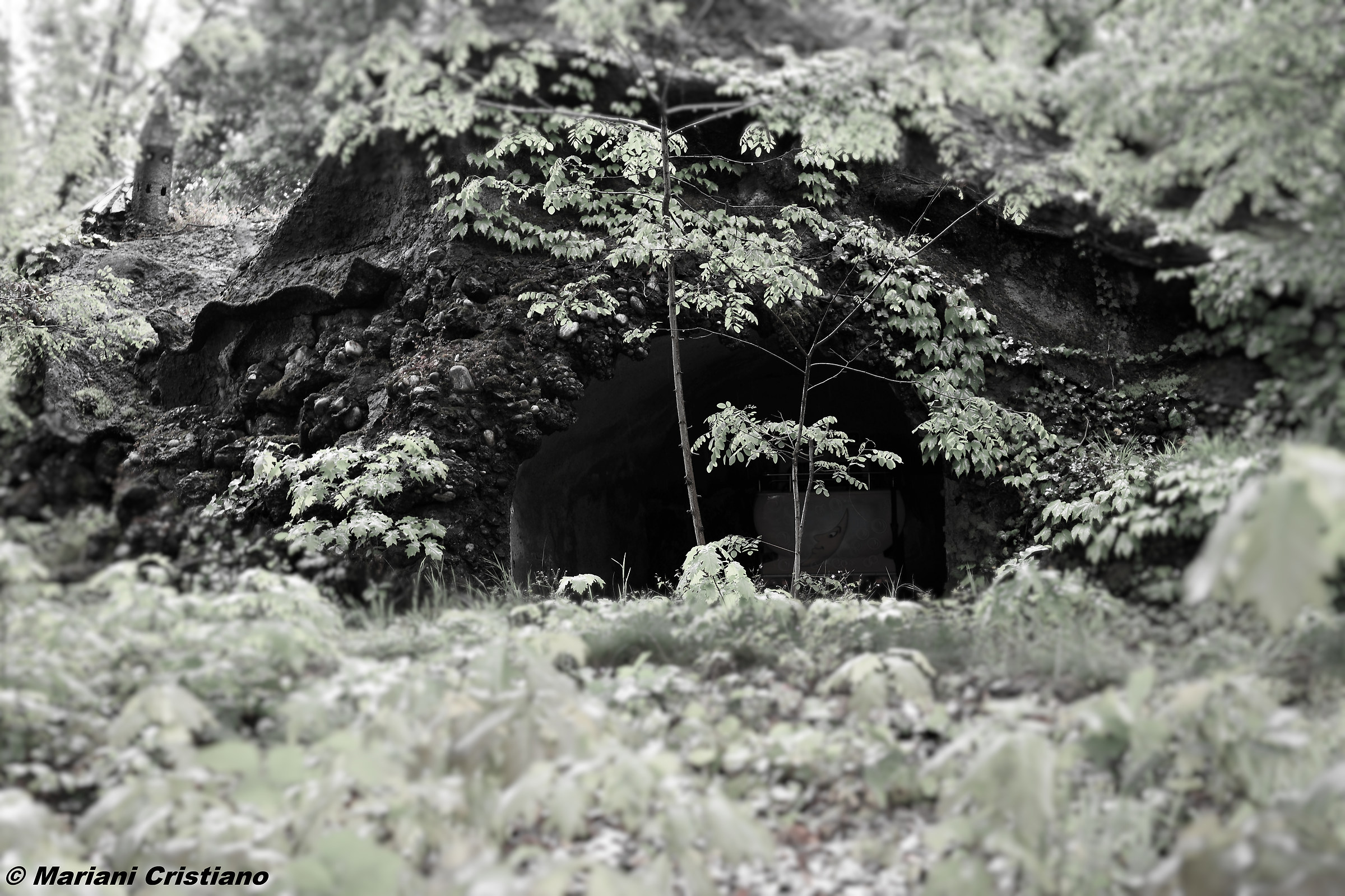 abandoned park...