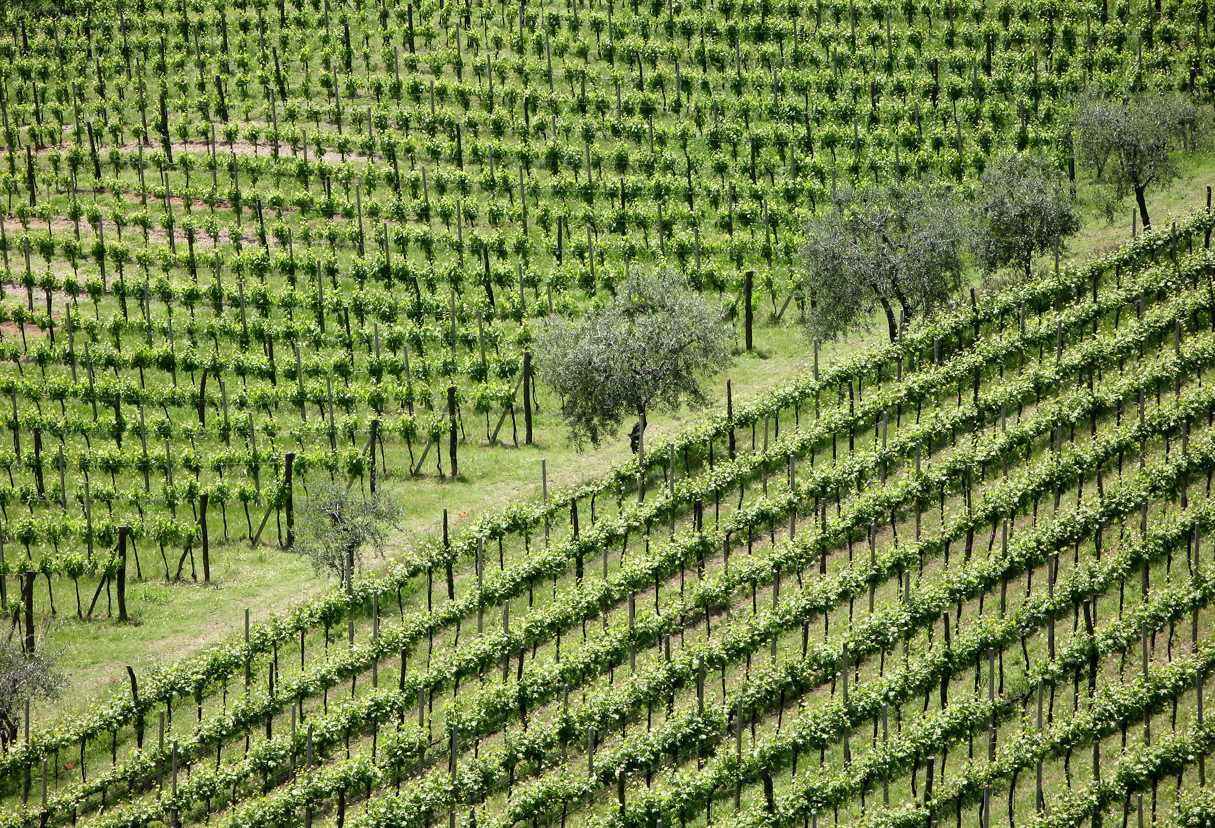 geometries green...