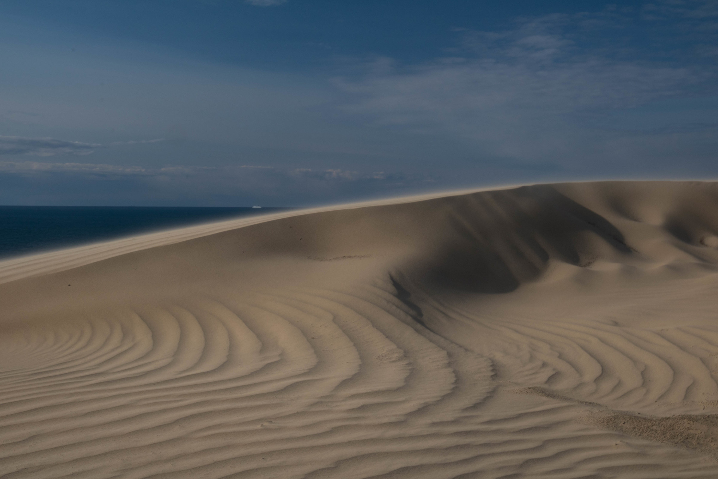 Dune...