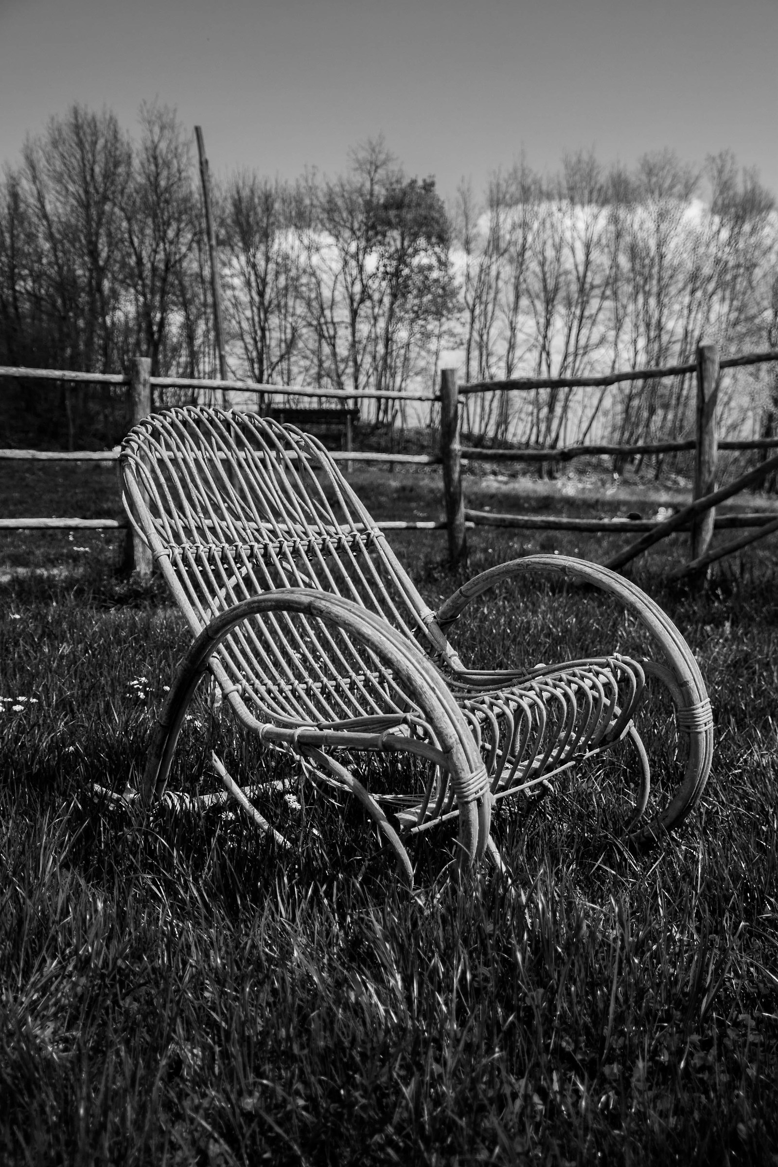 ... Solitude in a chair ......