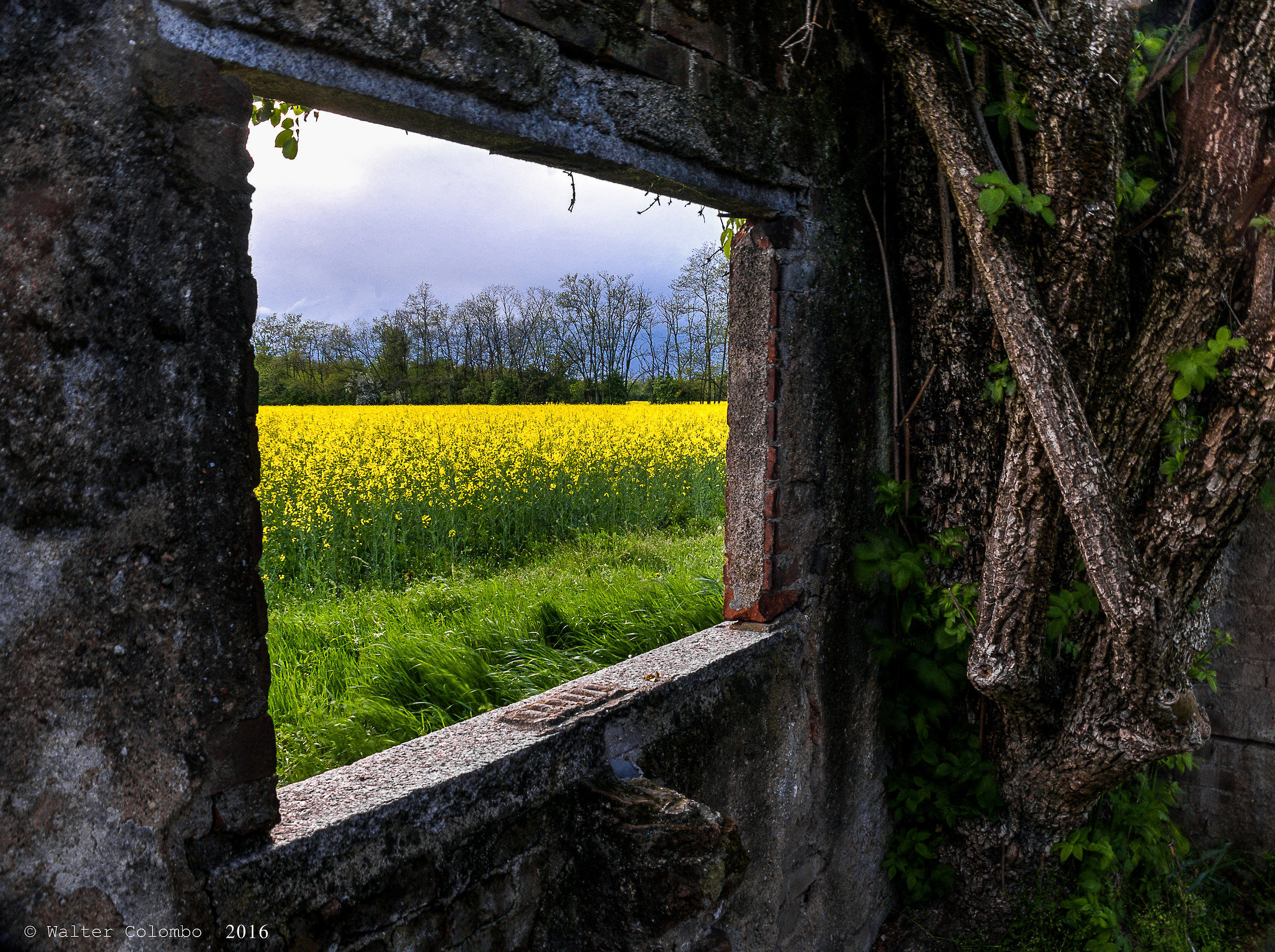 Countryside Window / Inside & Outside...