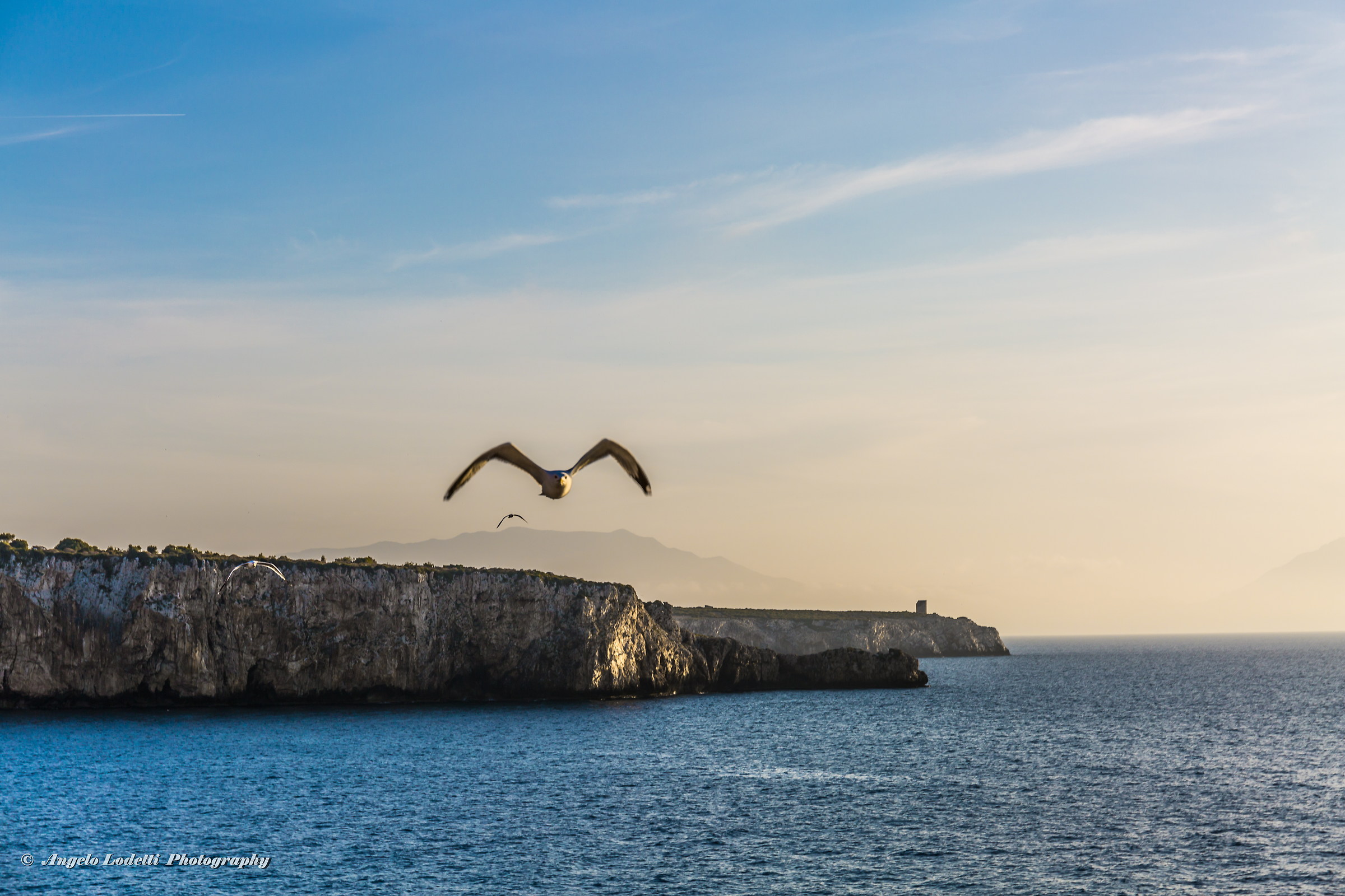 Seagulls flying over Cape Rama...