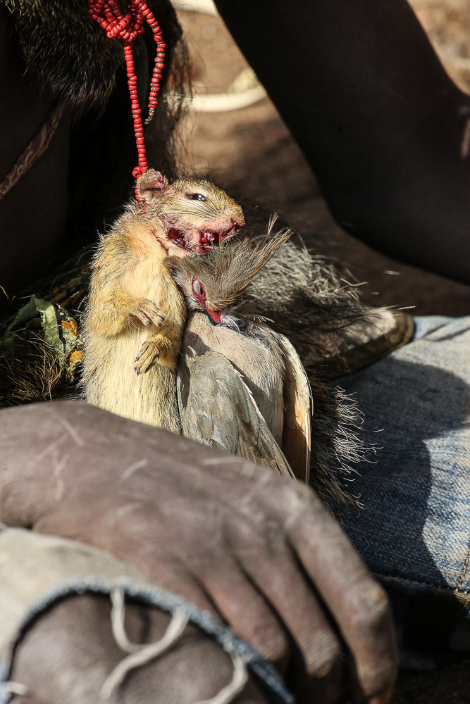 Hadza incredibile incontro: il bottino di caccia...