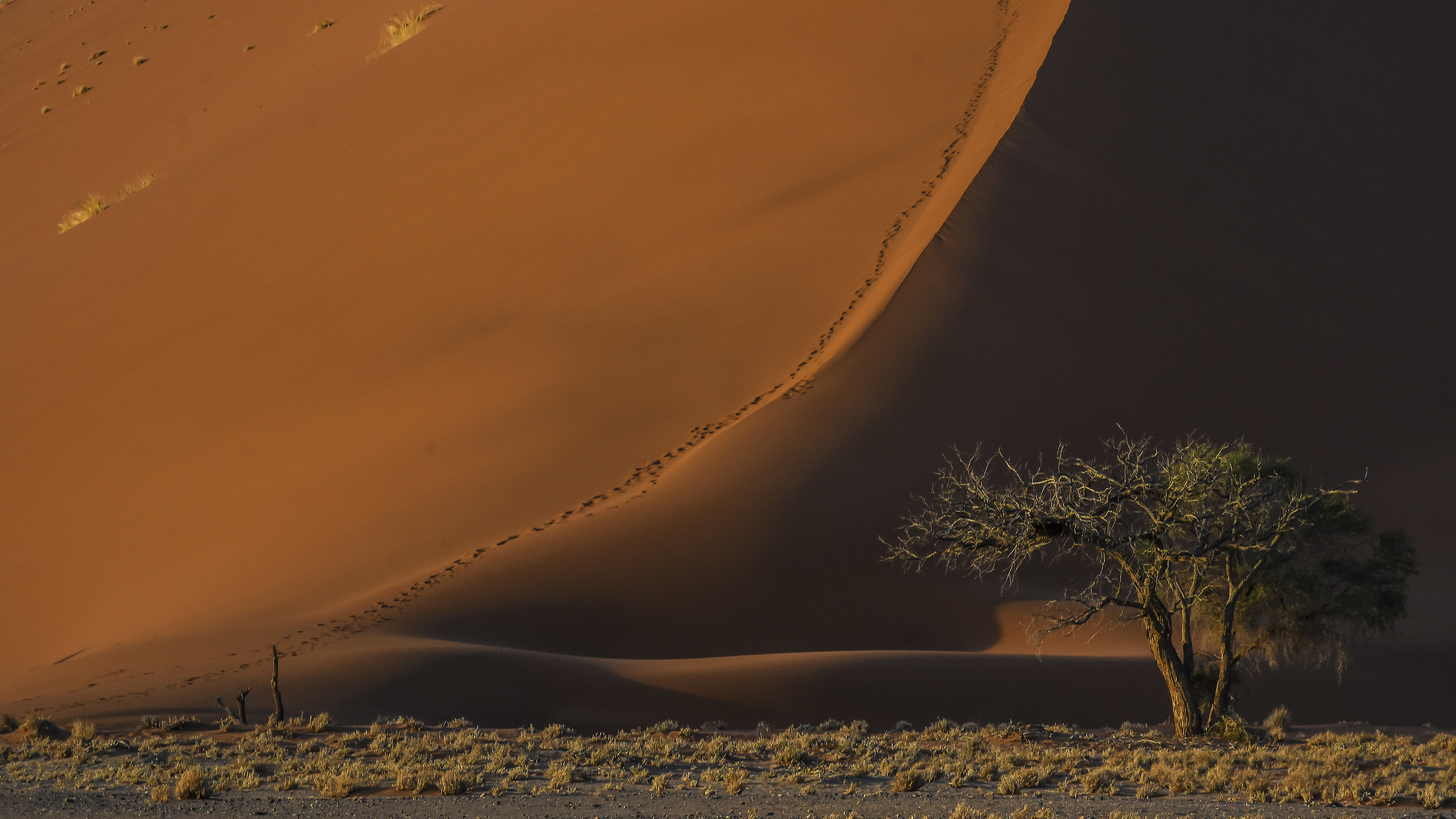 Namibian Dune. Sossousvlei, Namibia...
