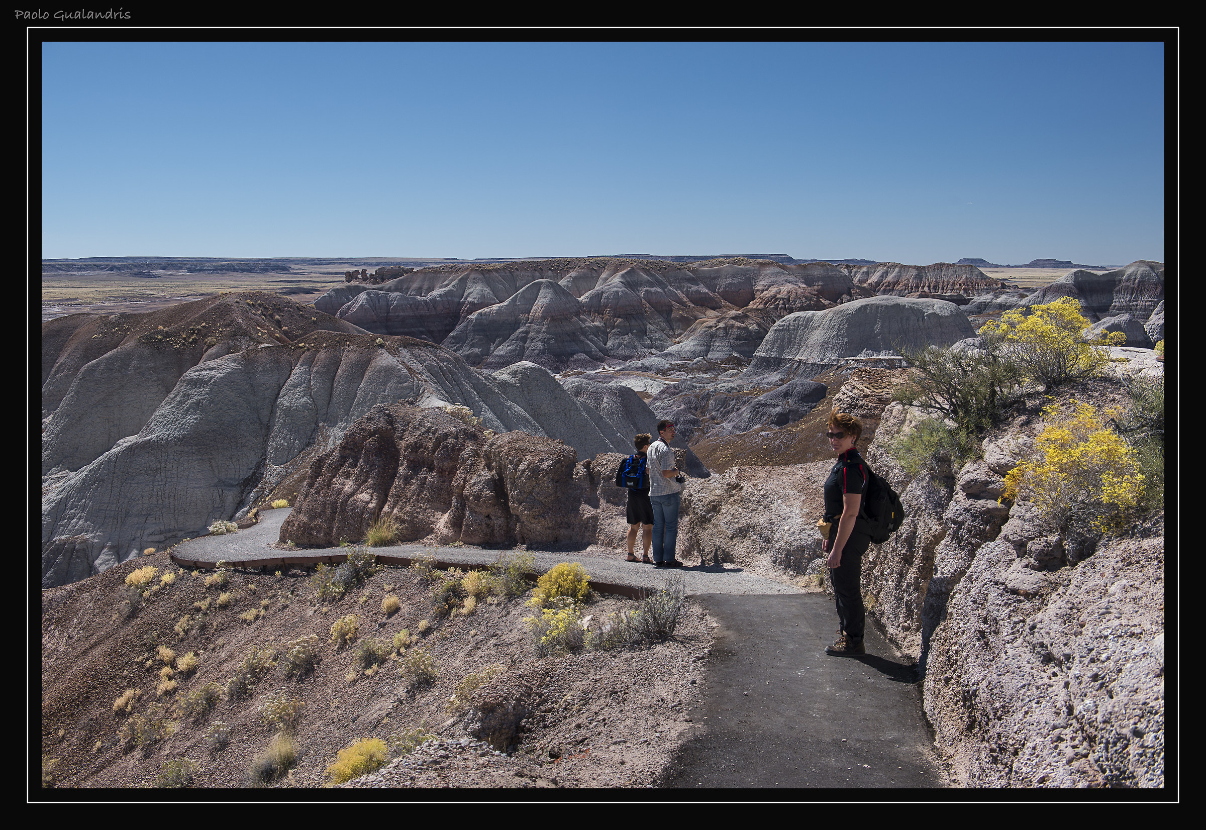 Blue Mesa Colors...