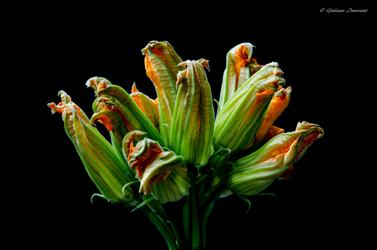 Courgette flowers...
