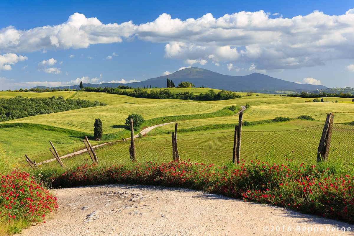 Passeggiate Toscane...