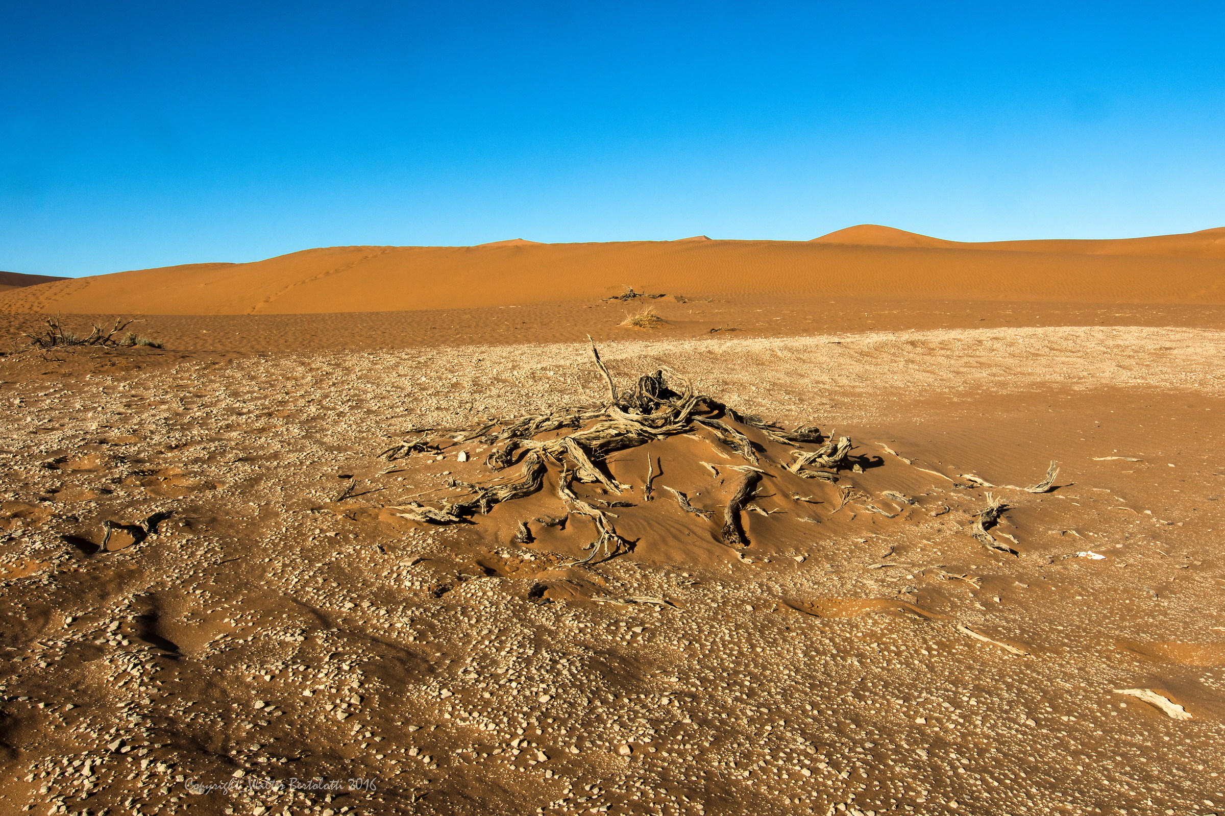 the Namib...