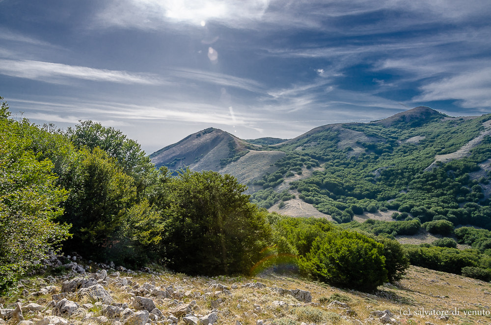 landscape...