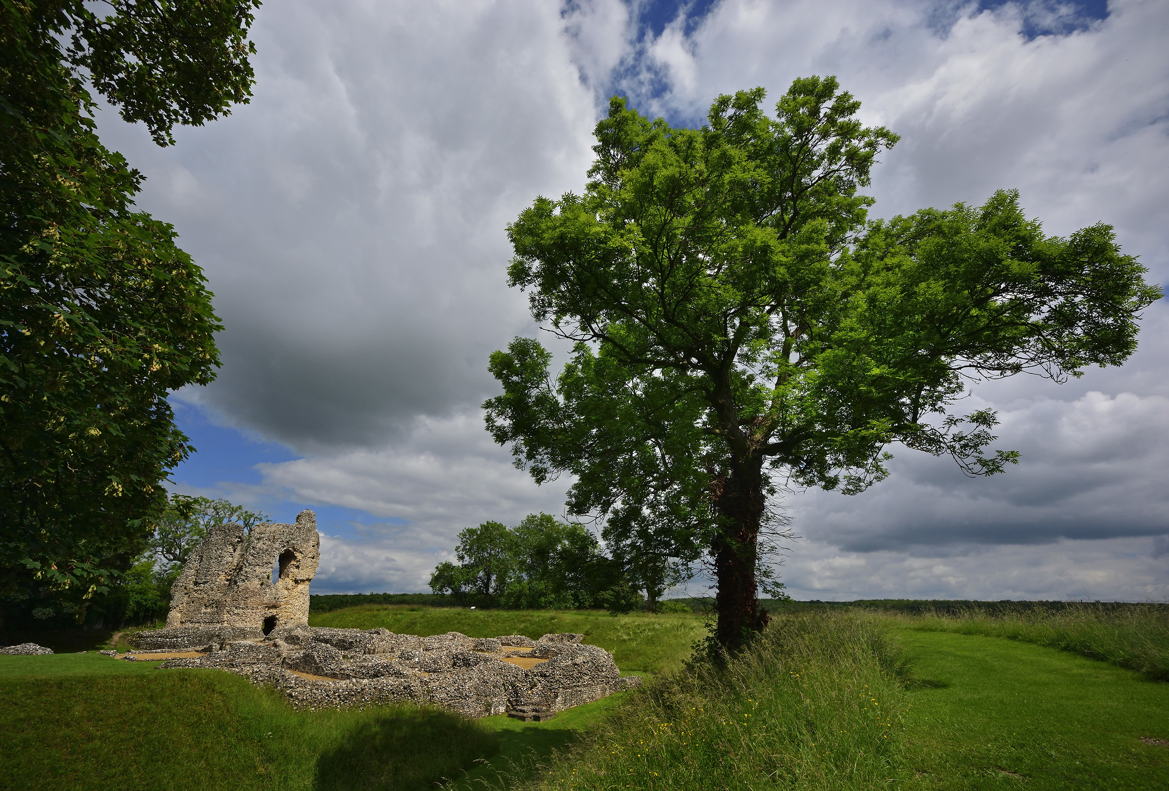 Ludgershall Castle in late June...