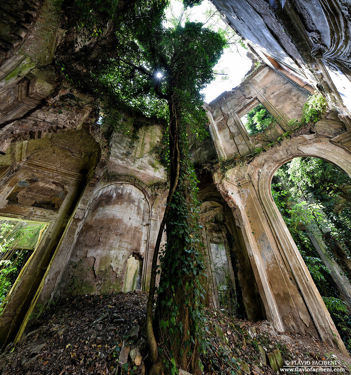 L'albero della vita...