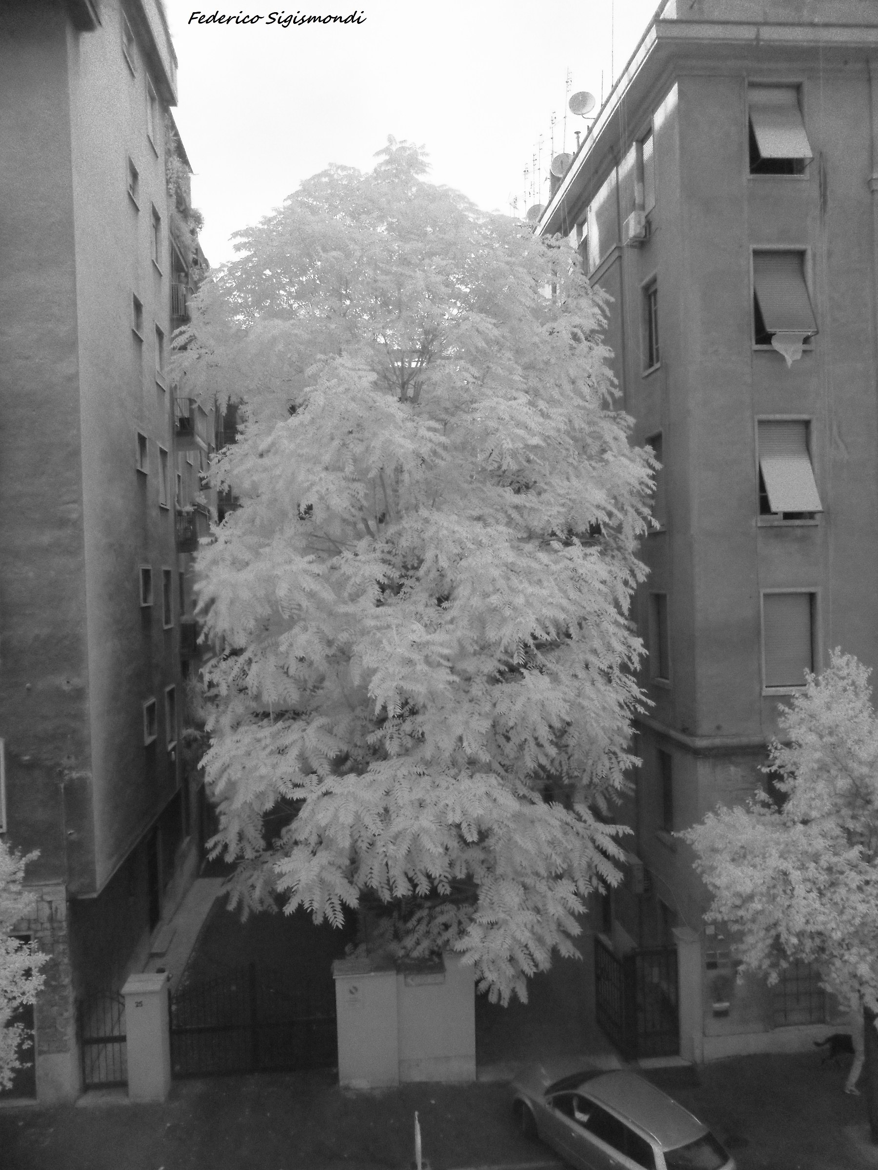 Roma Infrared...