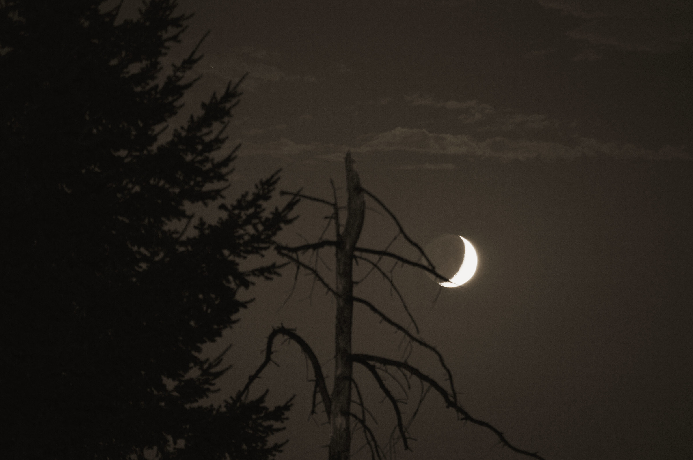 Moon at night...