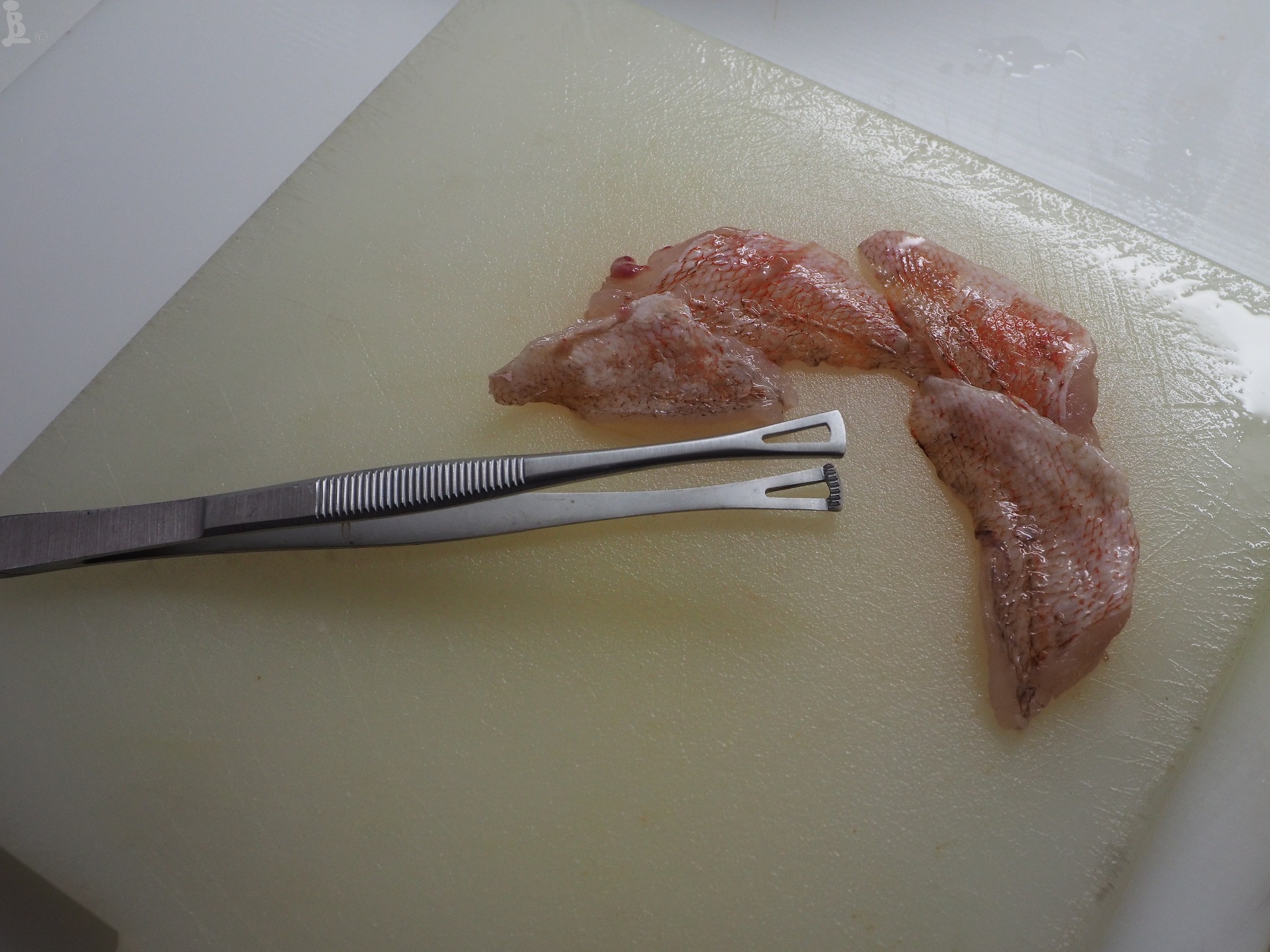 scorfanetti fillets...