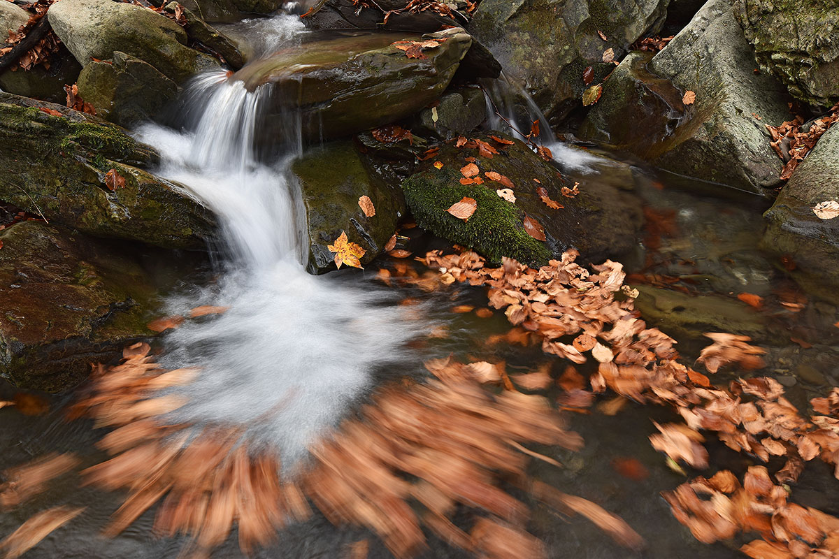 Fall Creek on Gargoyle...