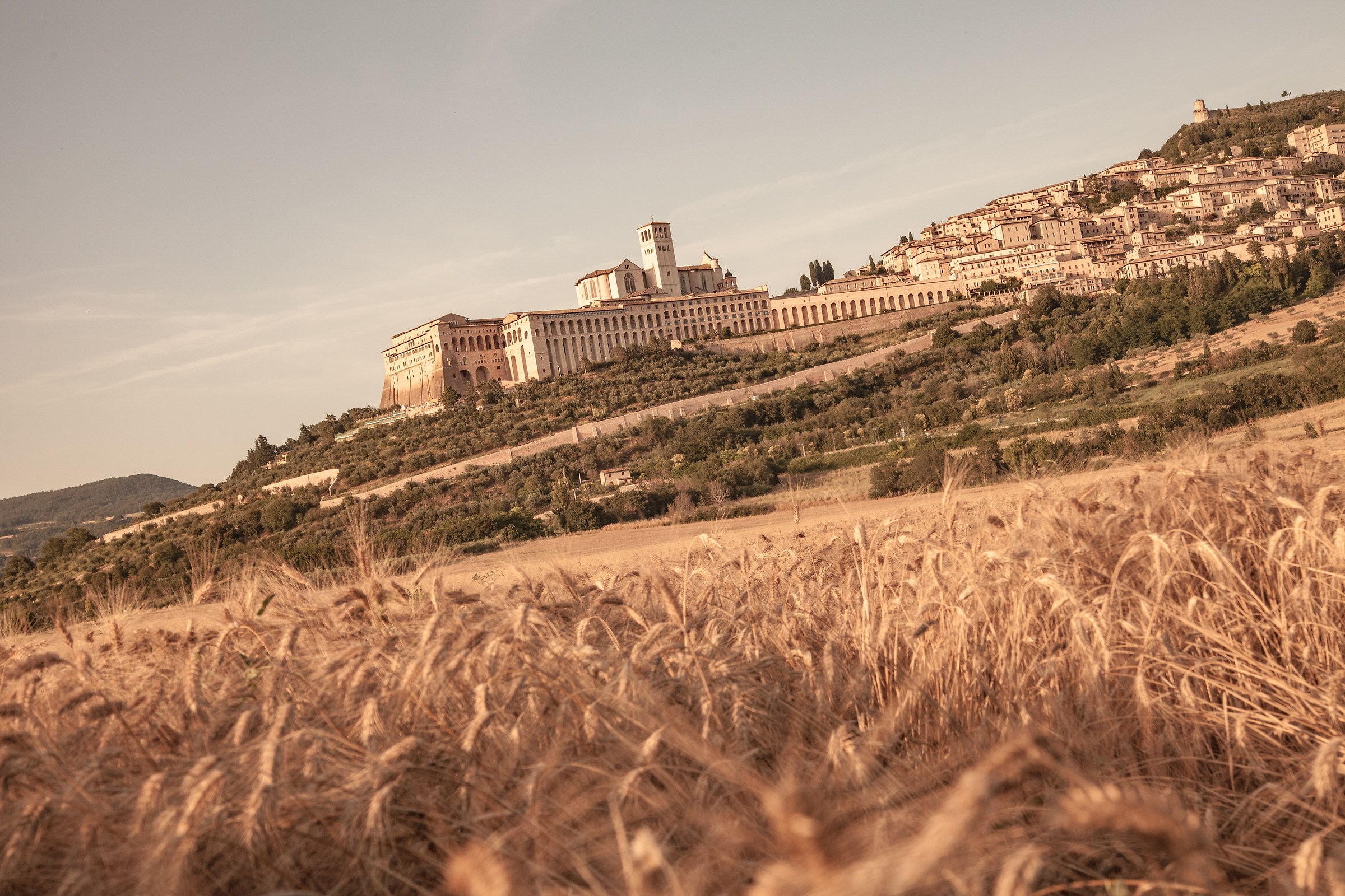 Summer of Assisi...