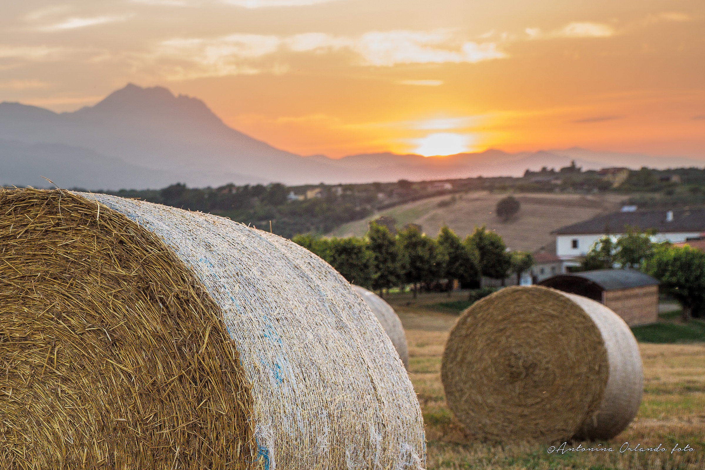 sunset bucolic...