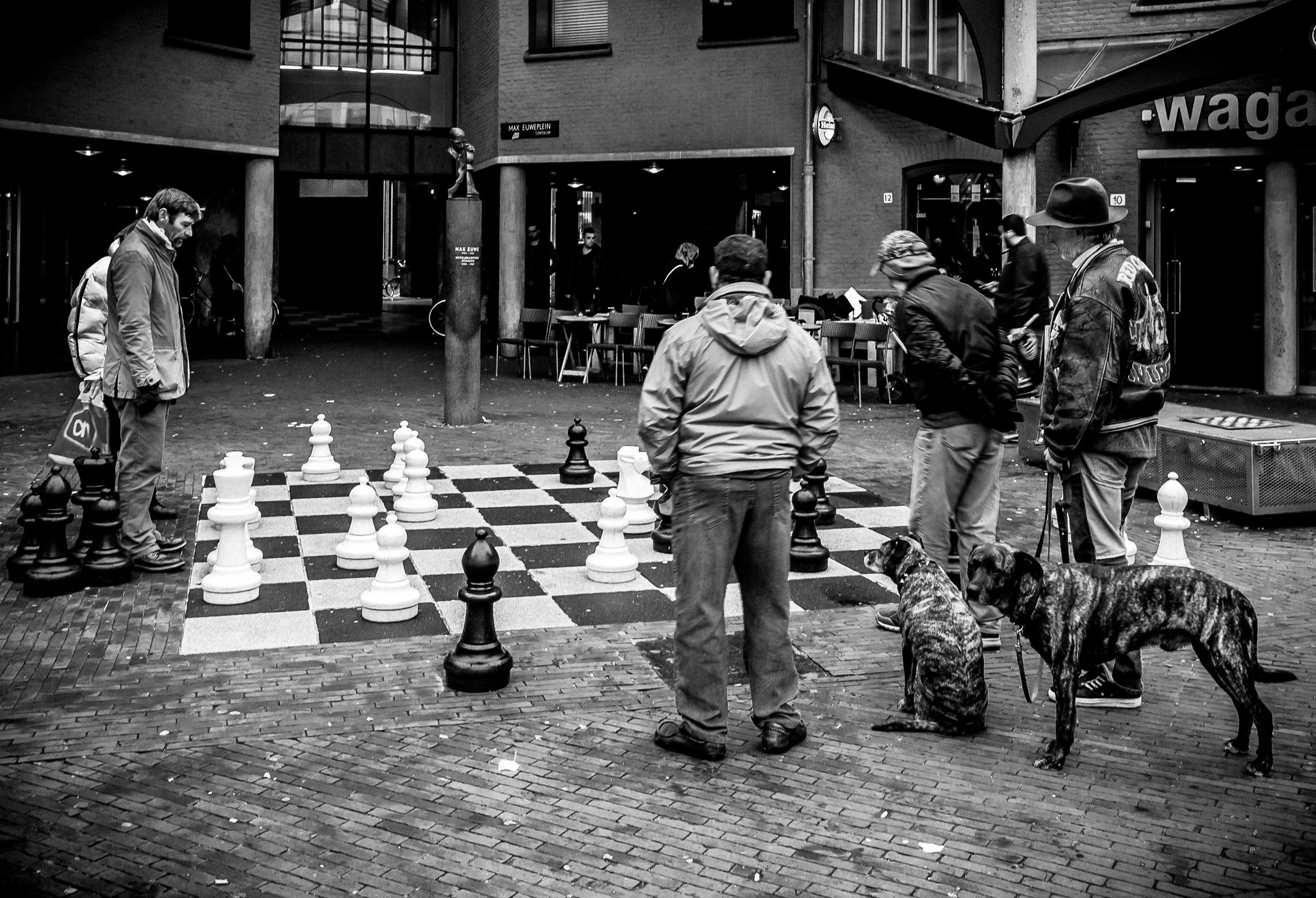 A nice chess game .......