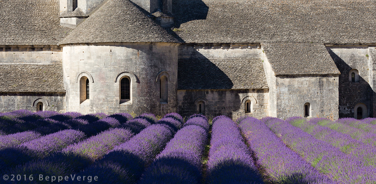 Abbaye de Senanque...