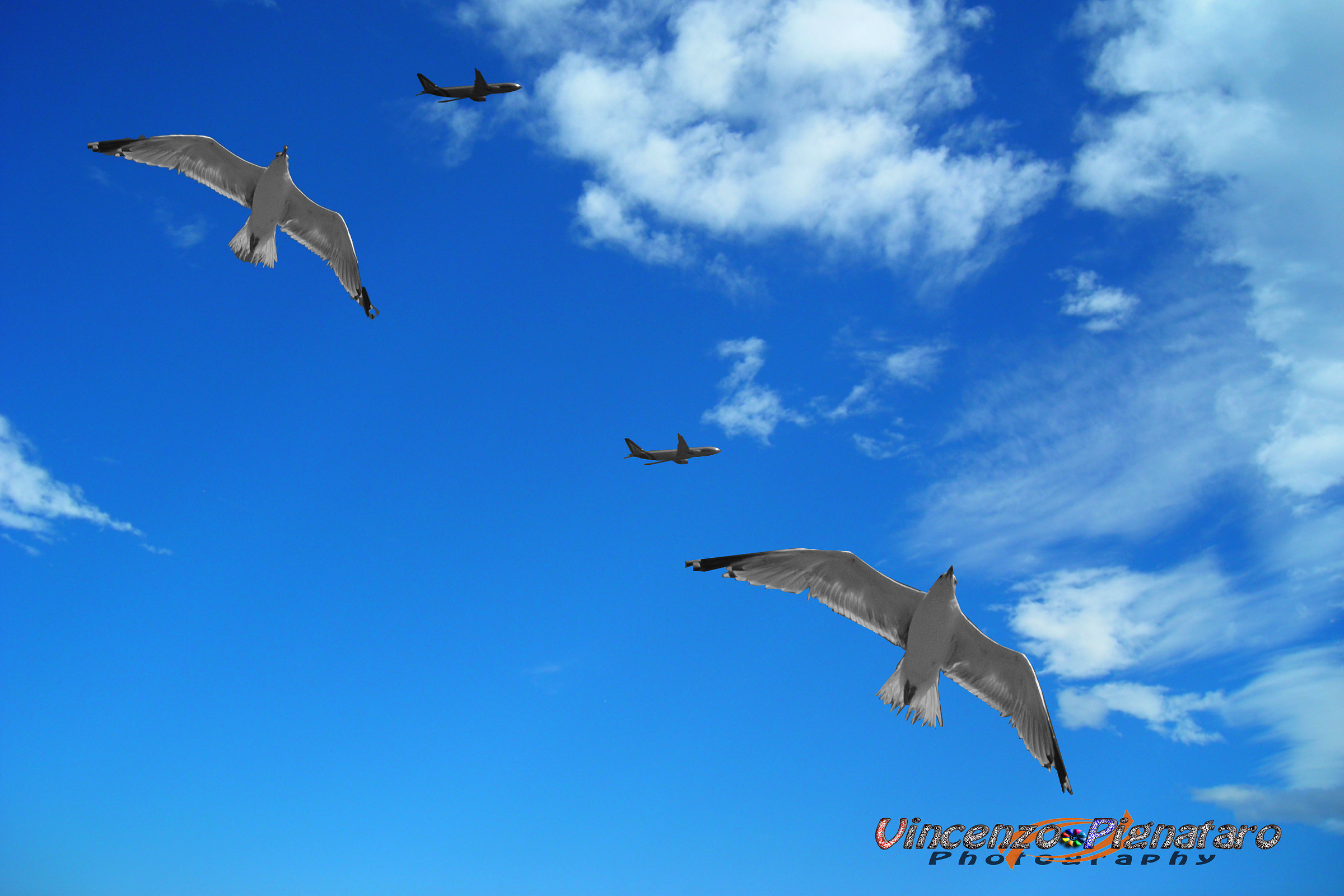 flight Race '' Fiumicino ''...
