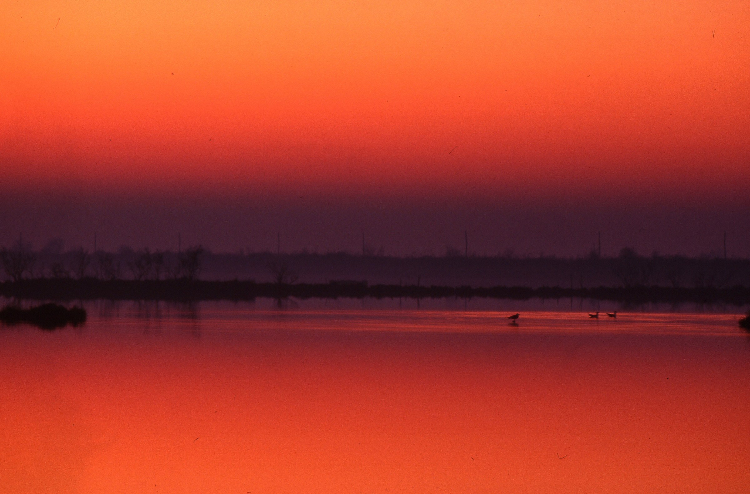 Venice lagoon at sunset...