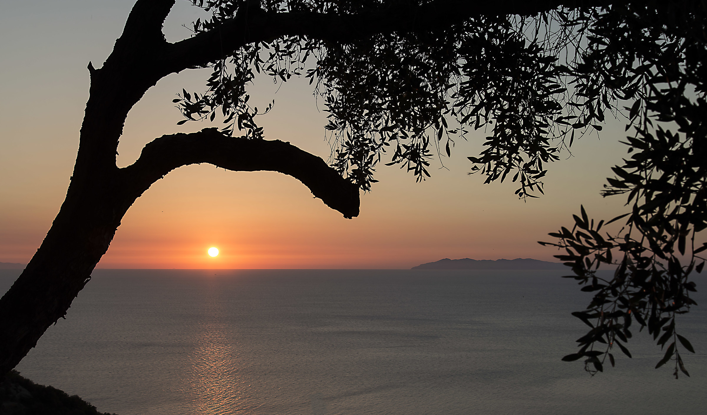 In the background Capraia...