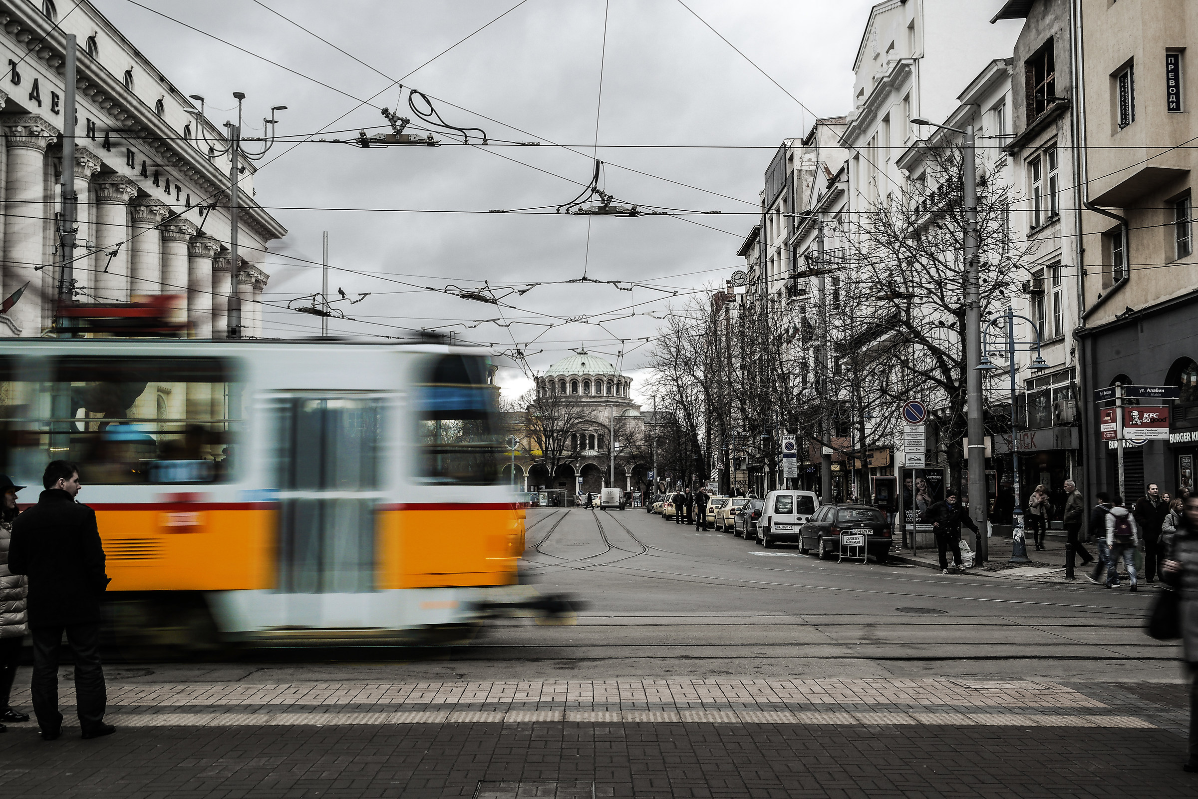 Sofia...