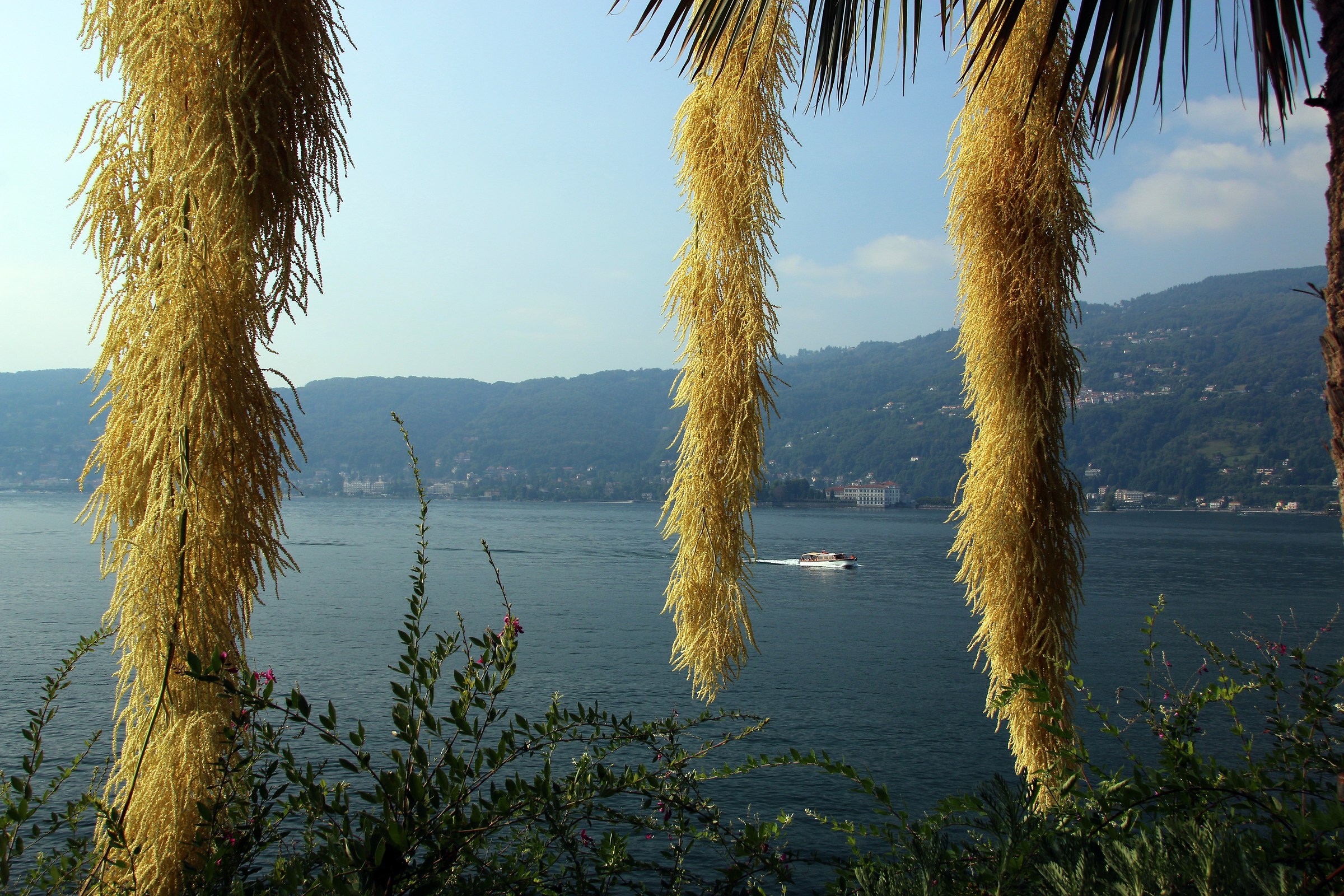 Panorama su Stresa dall'Isola Madre...