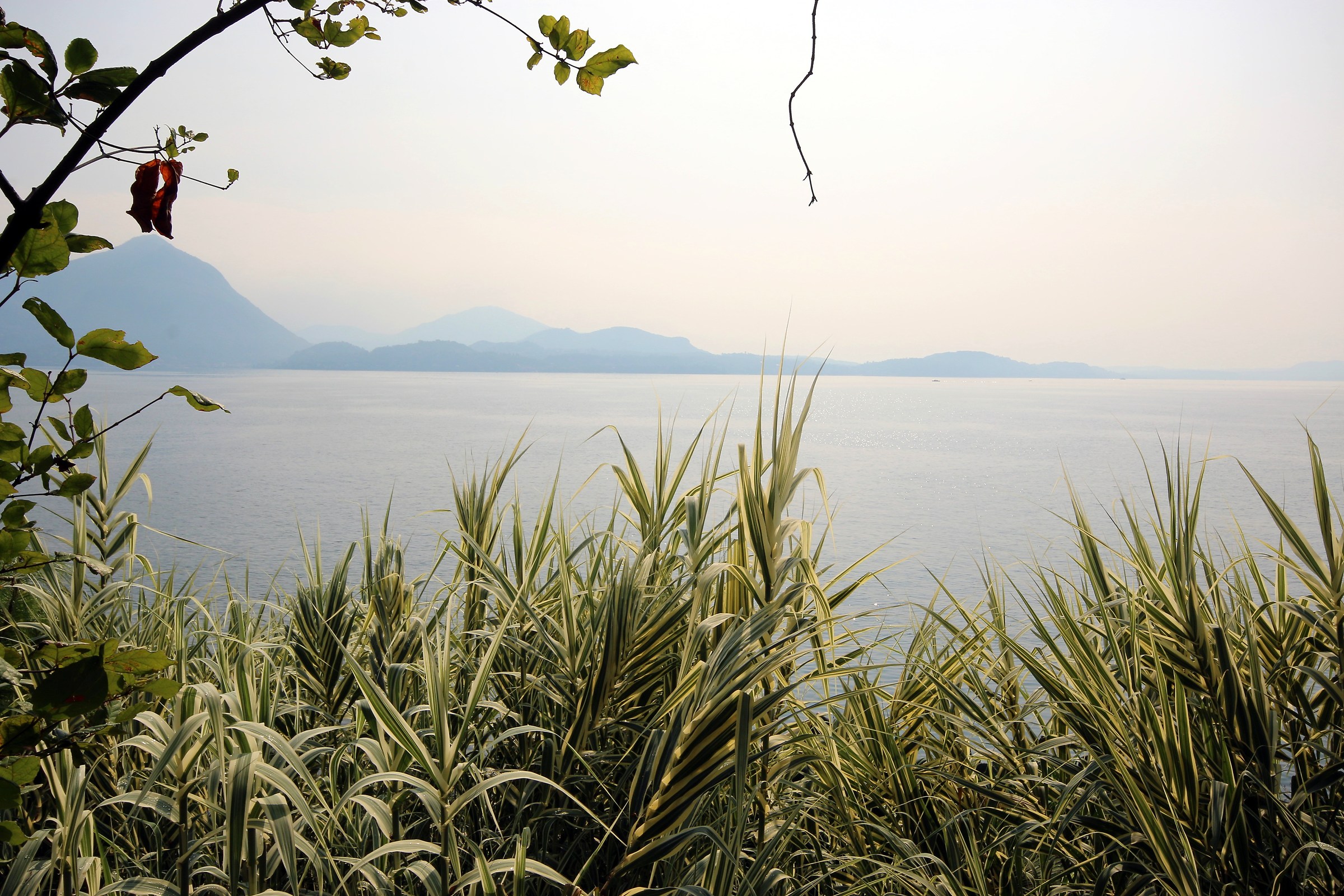 Panorama of Lake Maggiore Isola Madre...