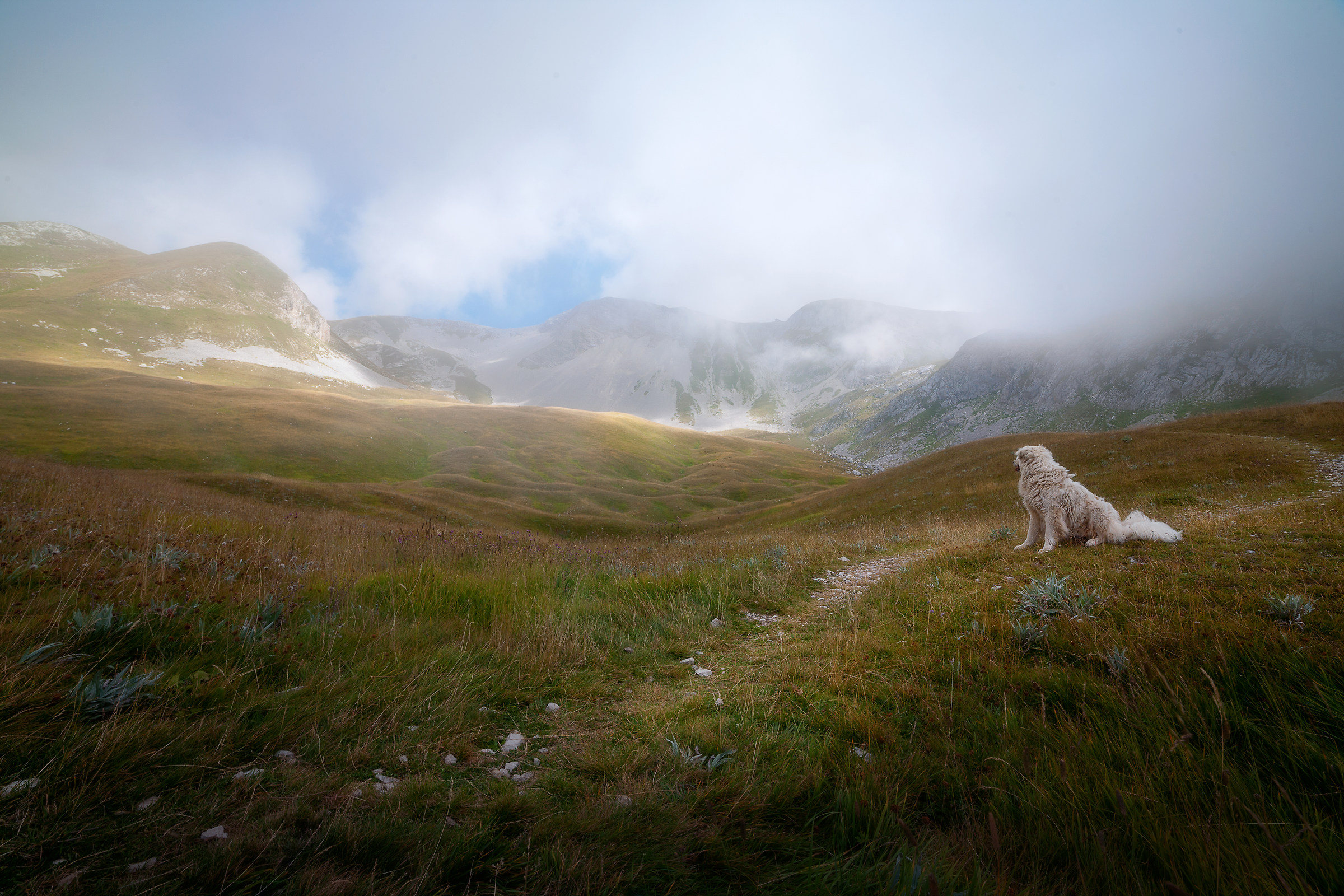 Slavijna-The guardian of the Foggy Mountain...