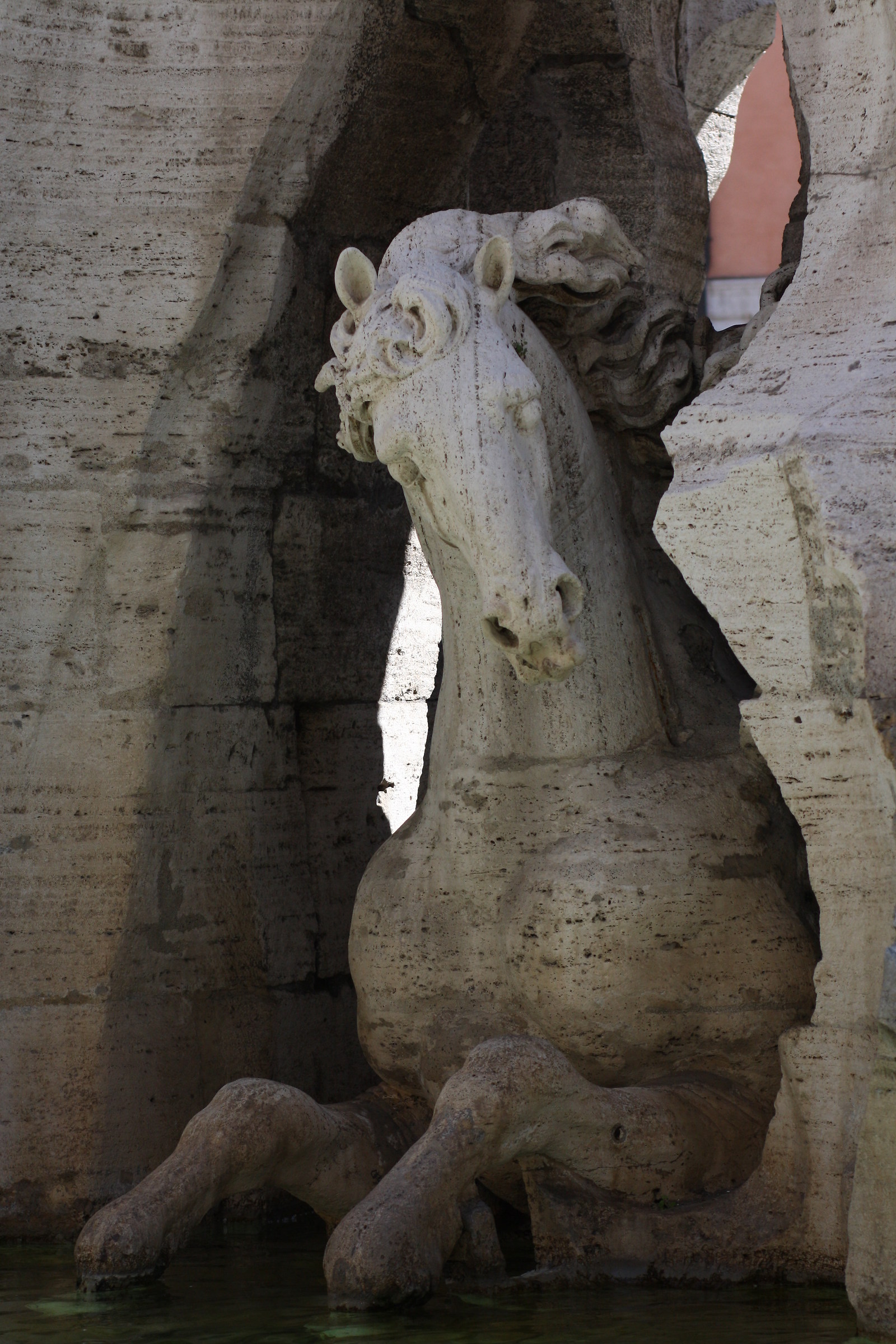 Fontana dei Quattro Fiumi - il Cavallo...