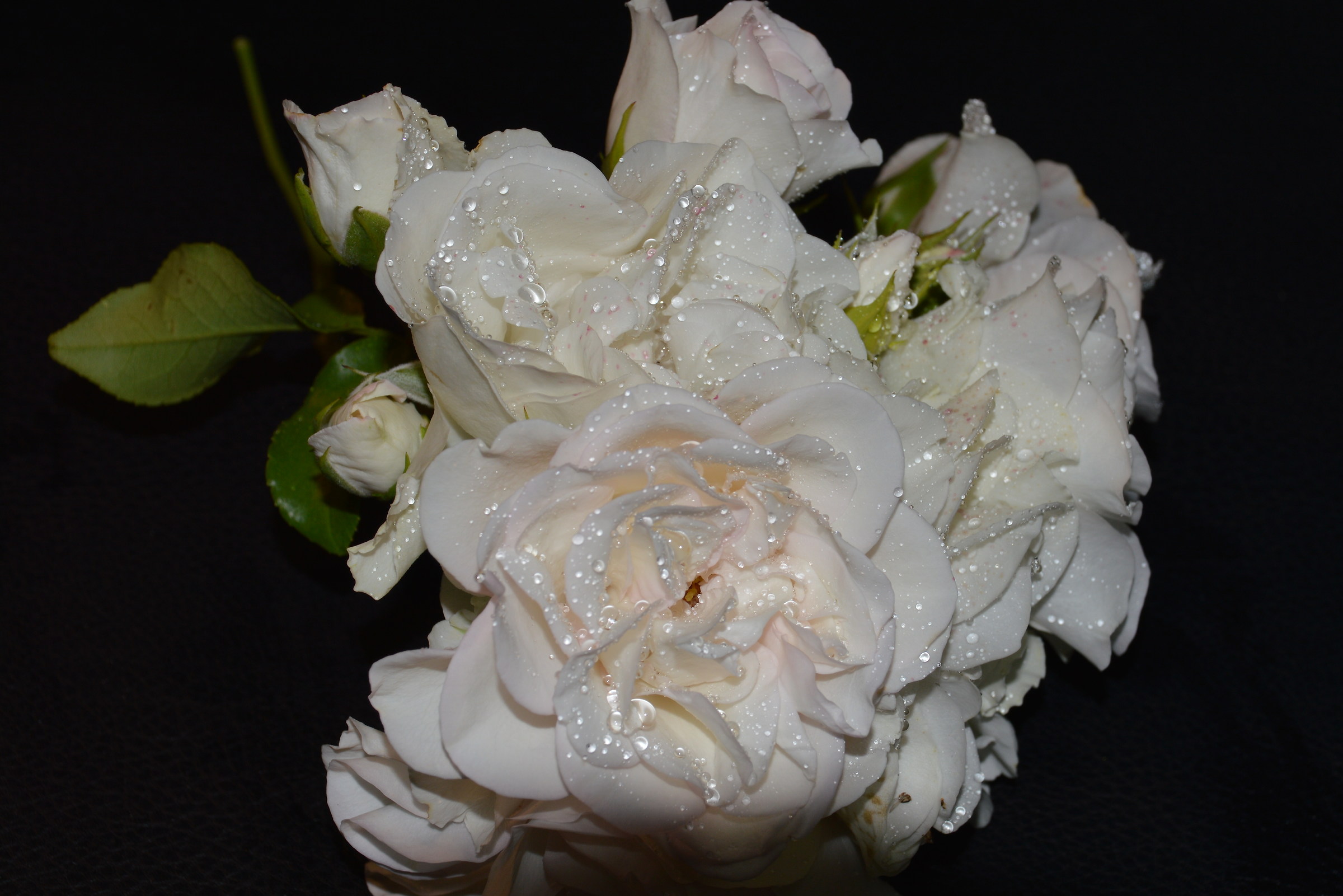 bouquet di roselline bianche...