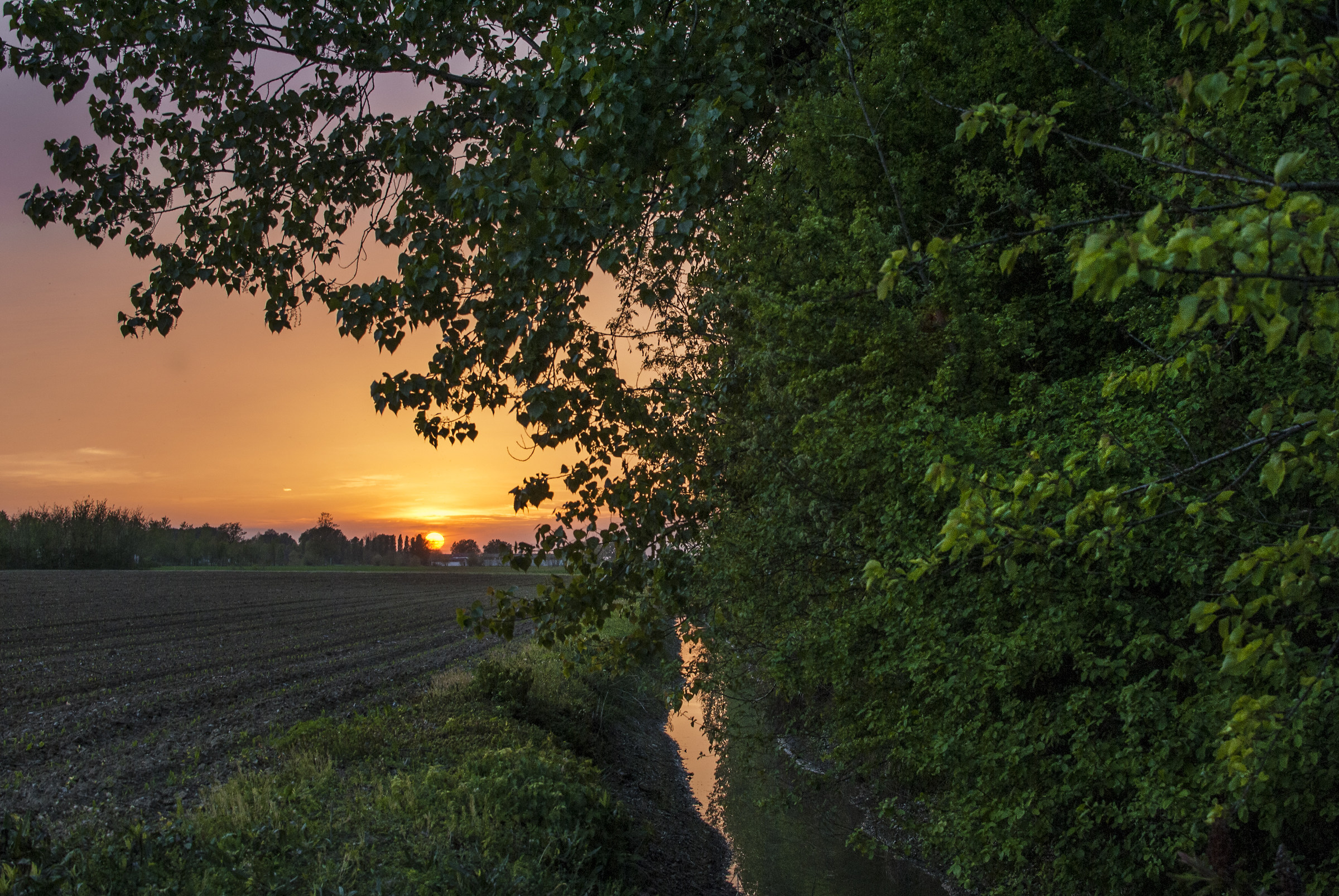 sunset in the countryside...