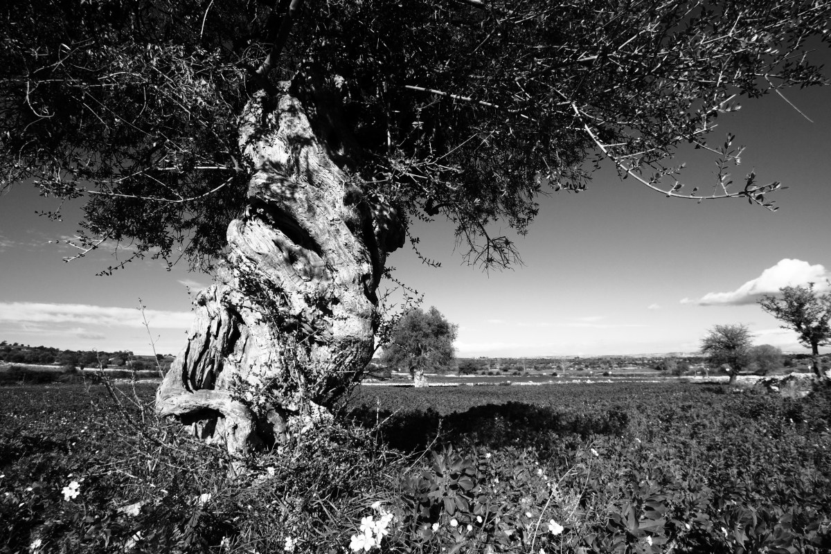 Untitled Photo...
