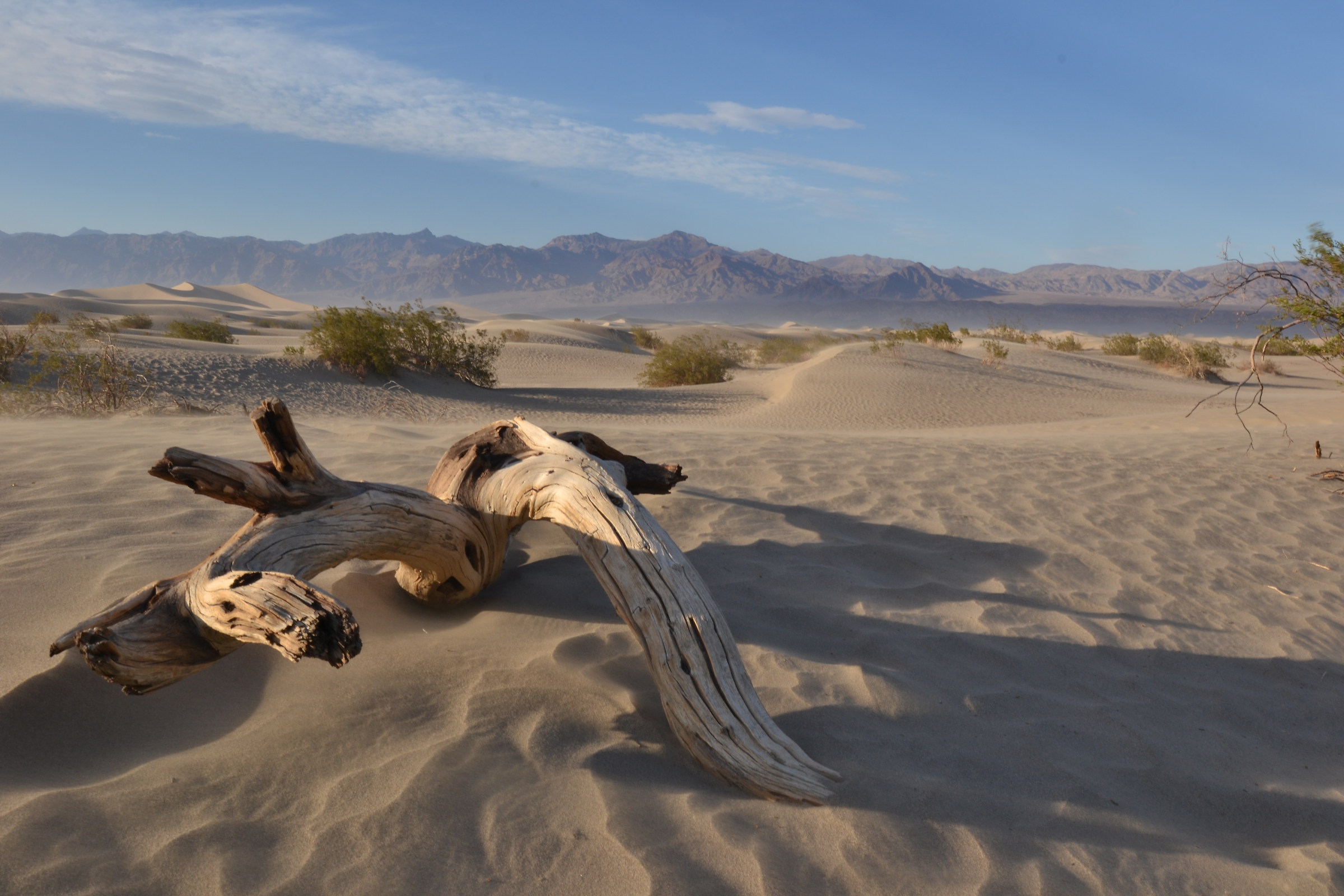 Death Valley - Sand dunes...