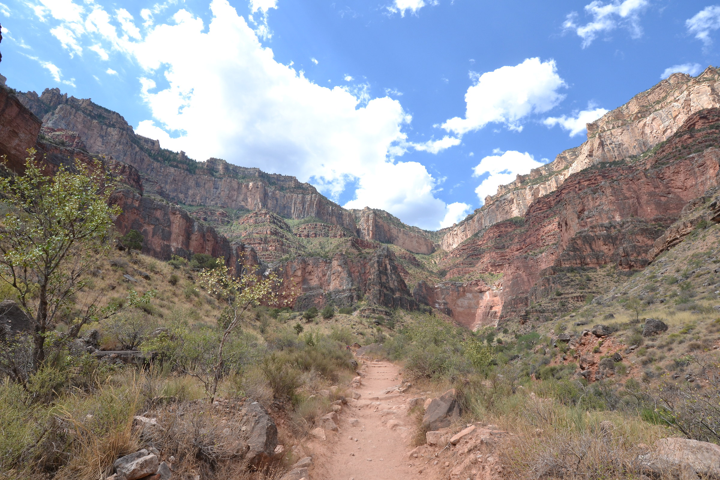 Grand Canyon - Indian Garden...