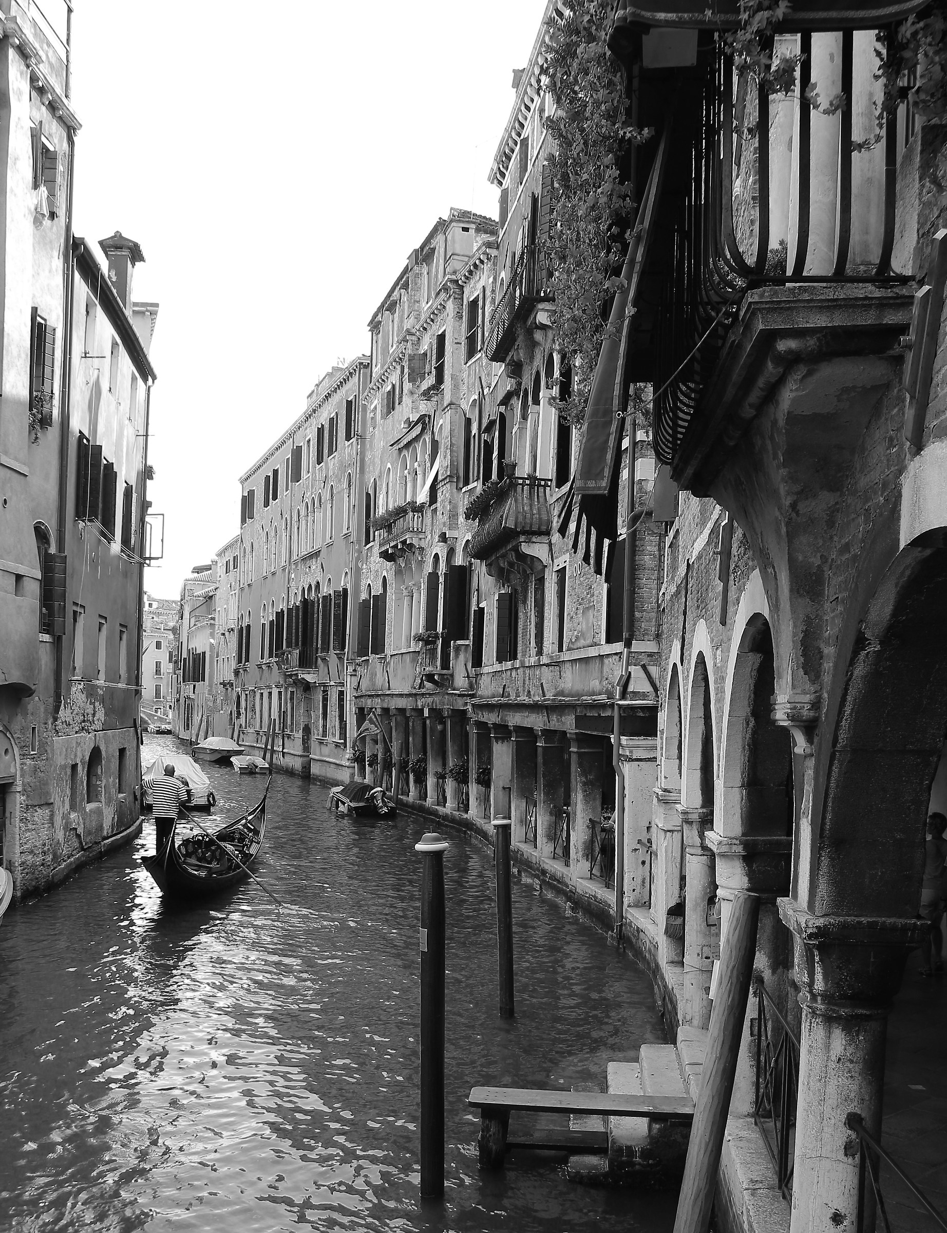 Semplicemente Venezia...