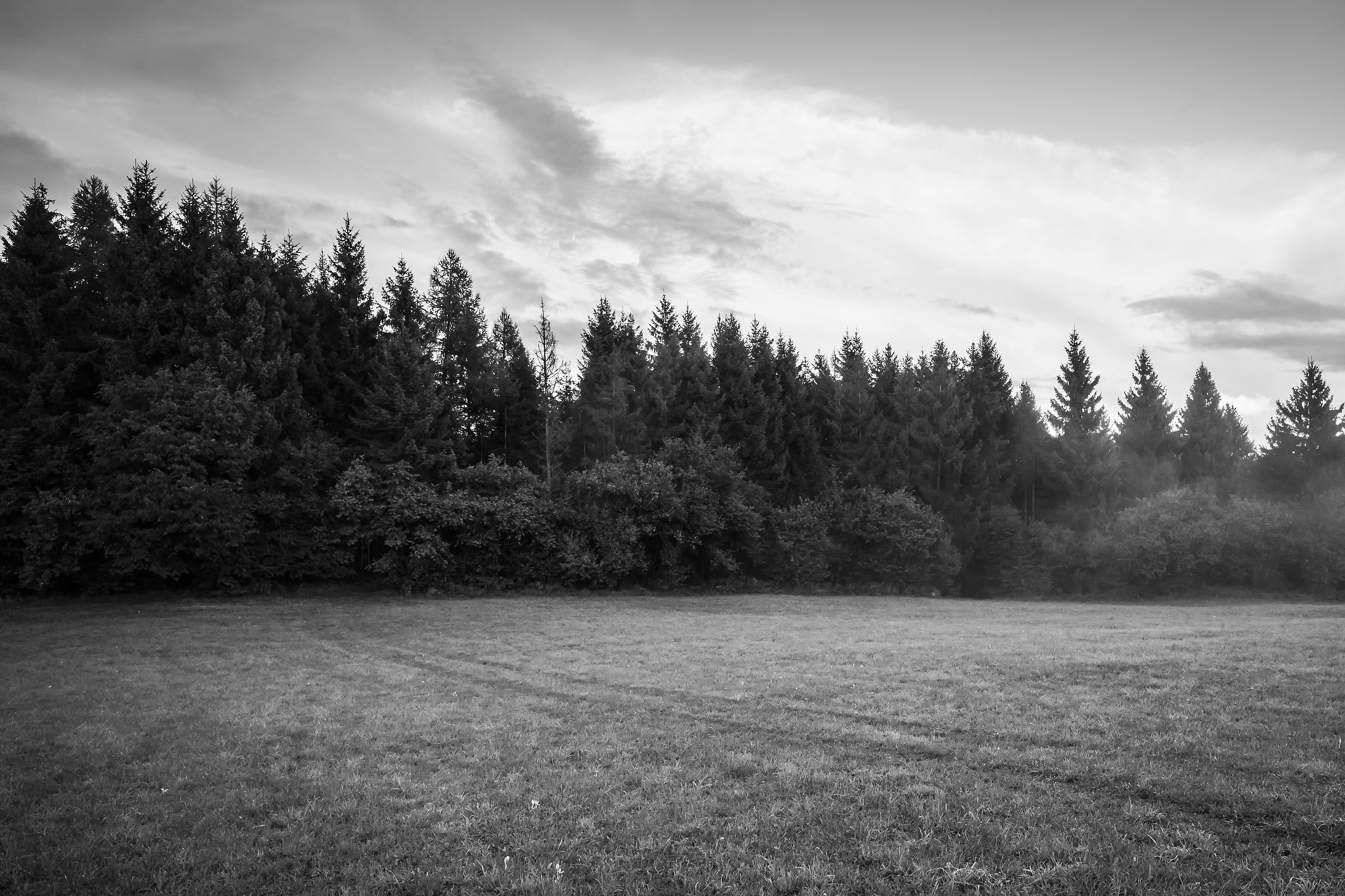Landscape canon 5D Mk IV...