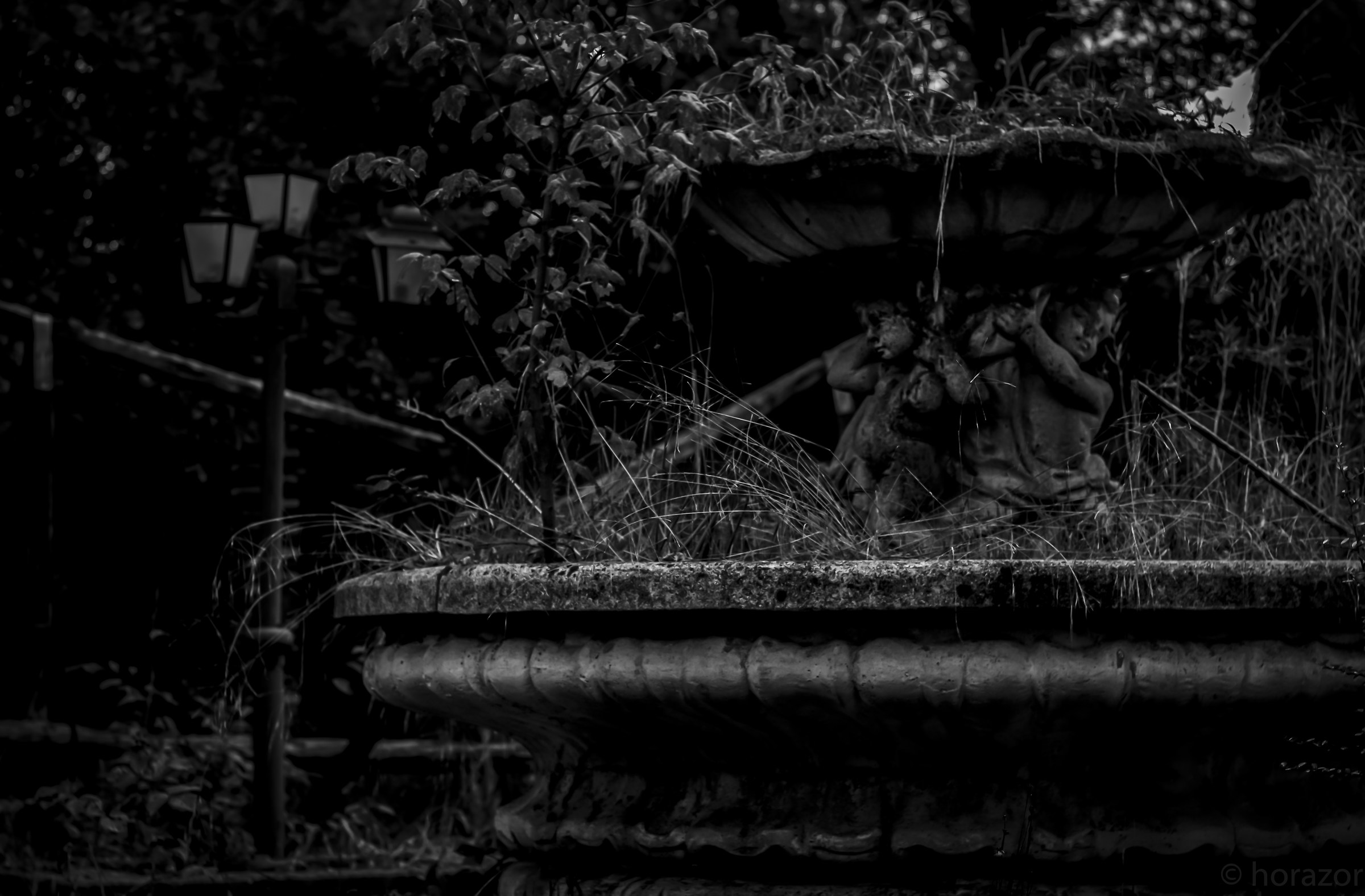 Untitled Photo...
